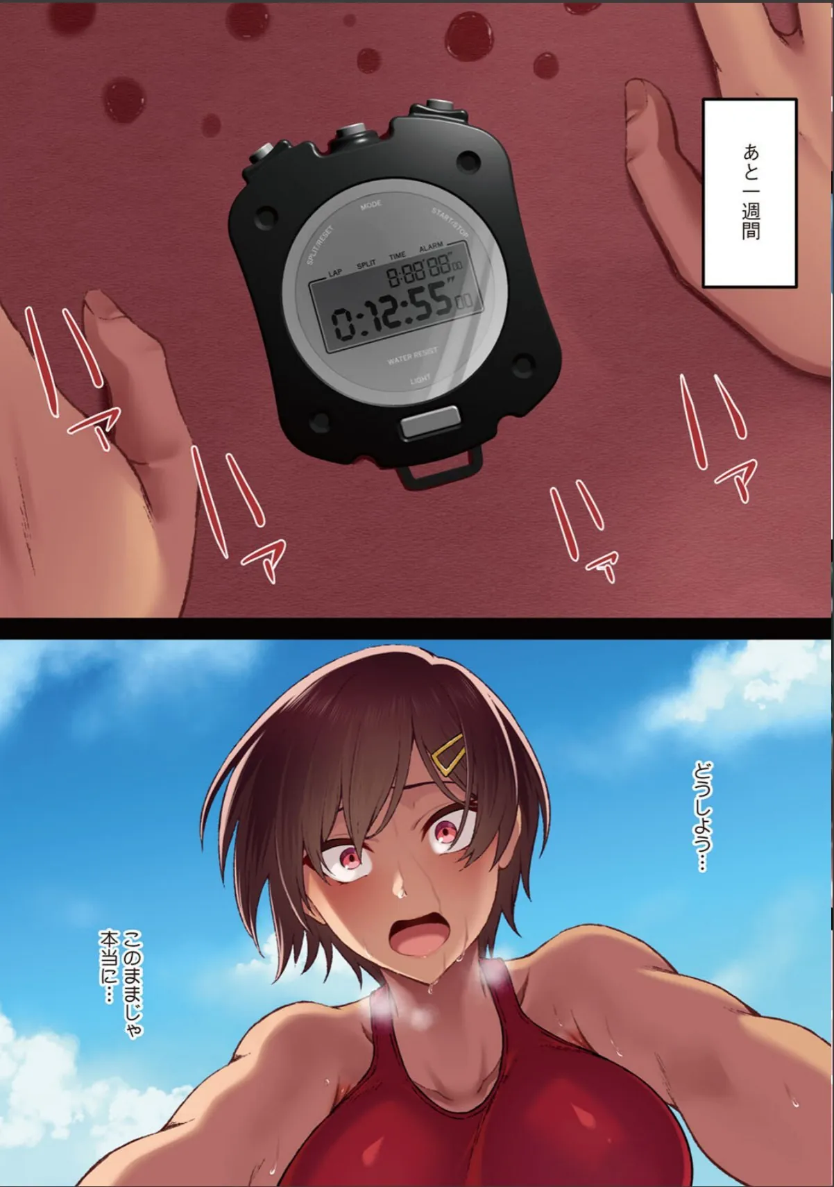 sample 9