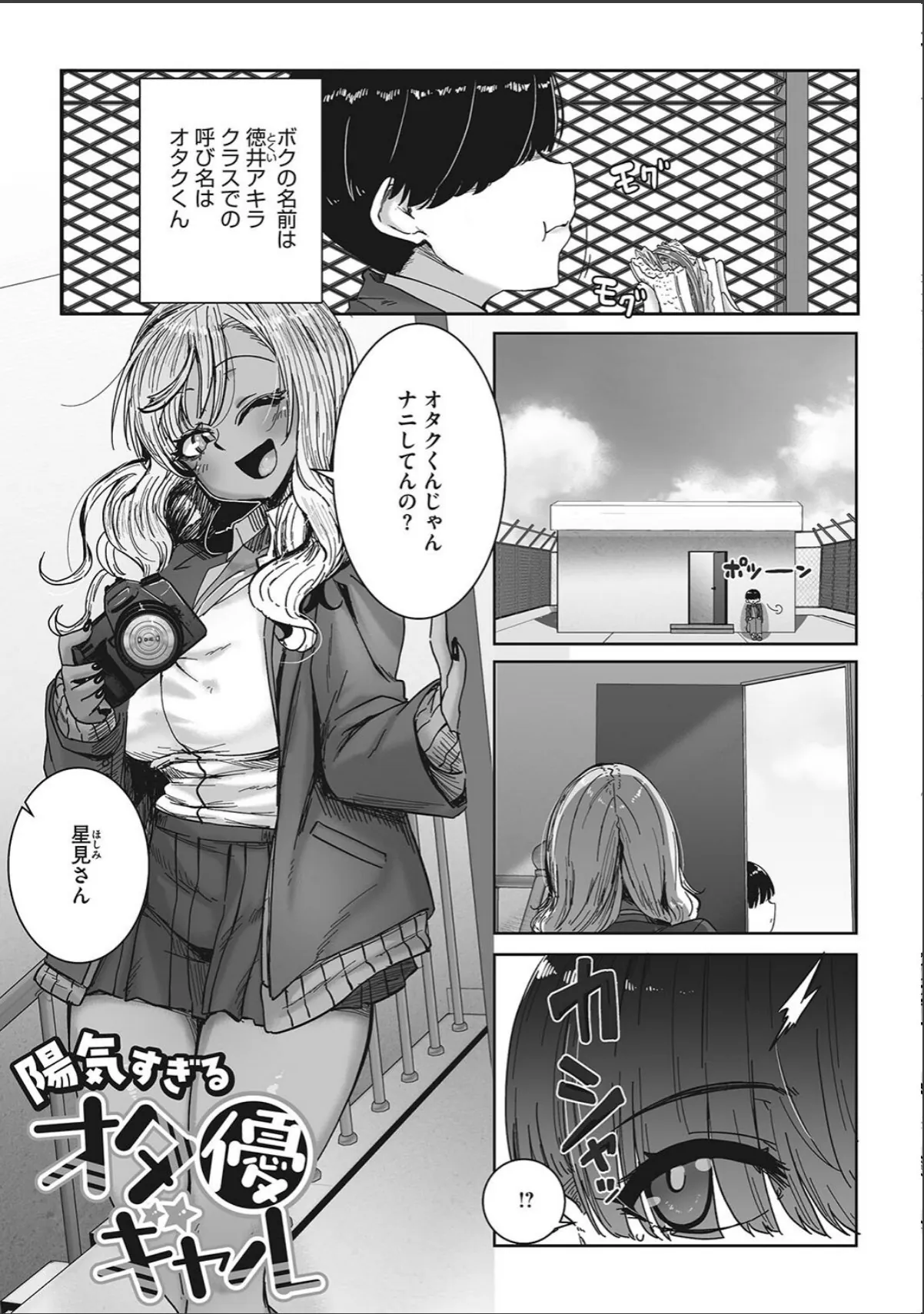 sample 11