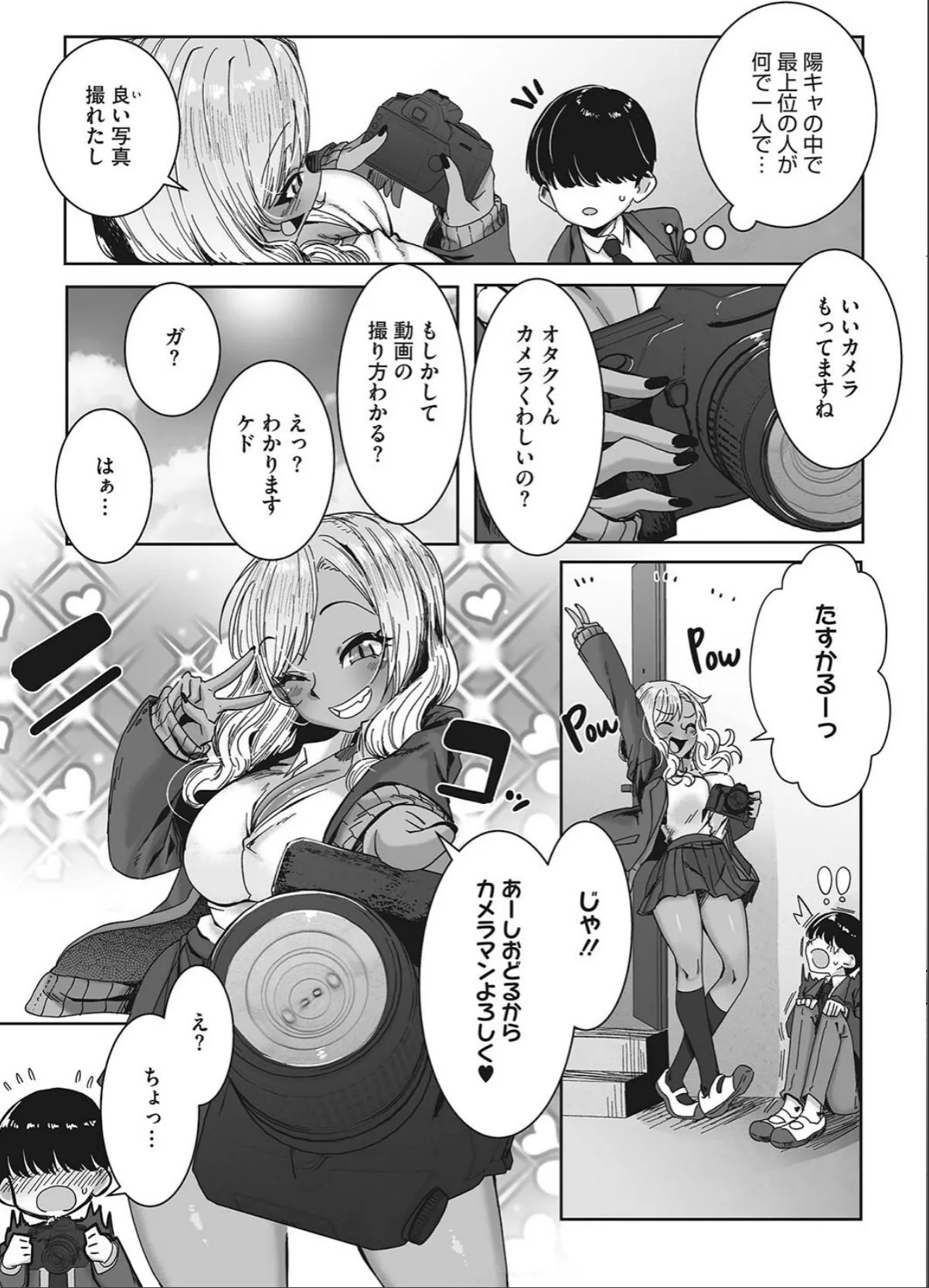 sample 12