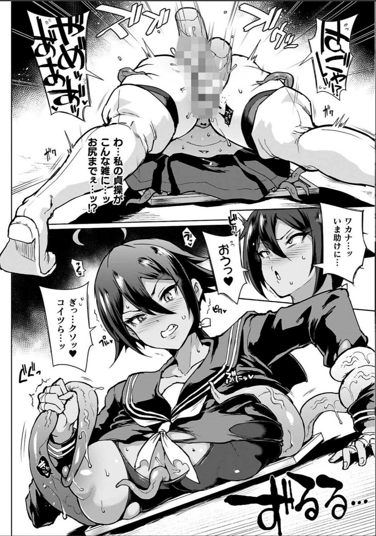 sample 12