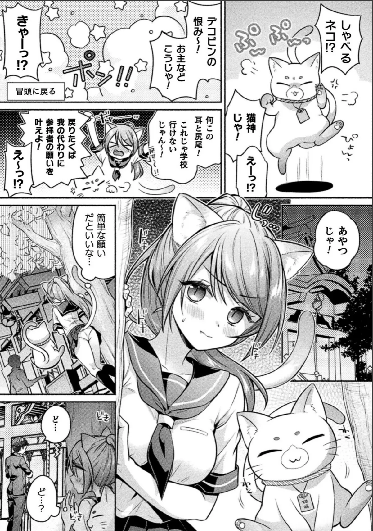 sample 3