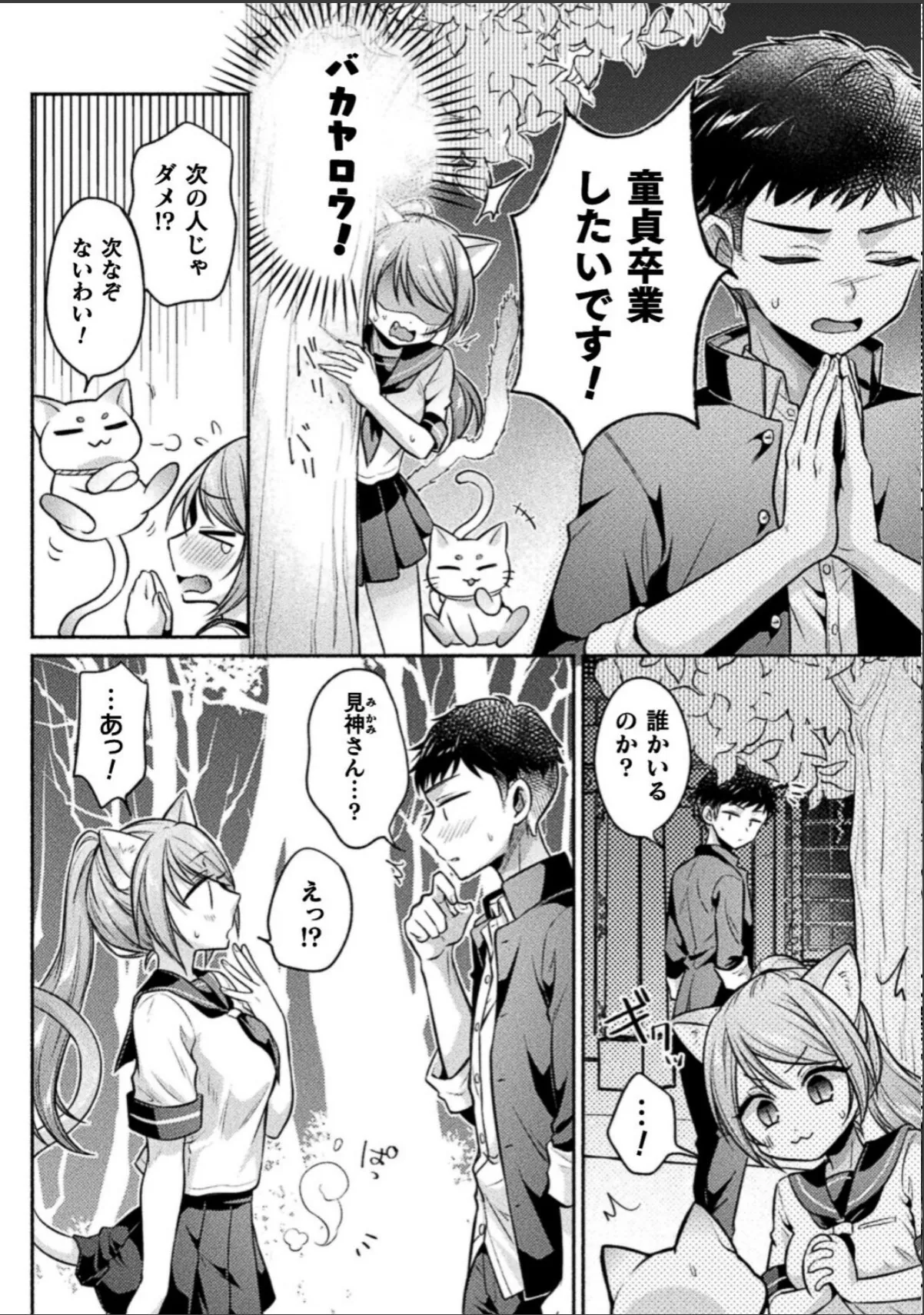 sample 4