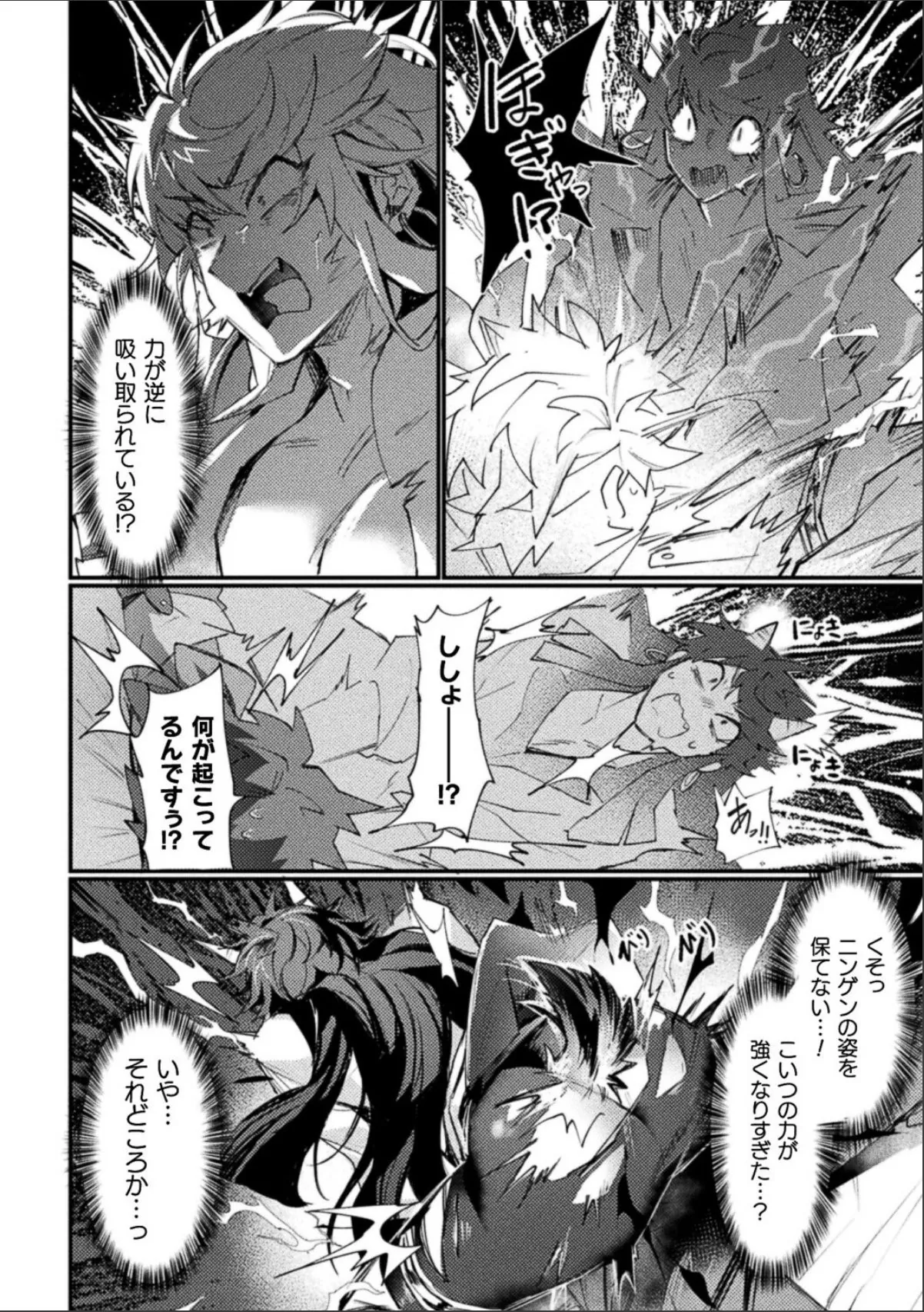 sample 4