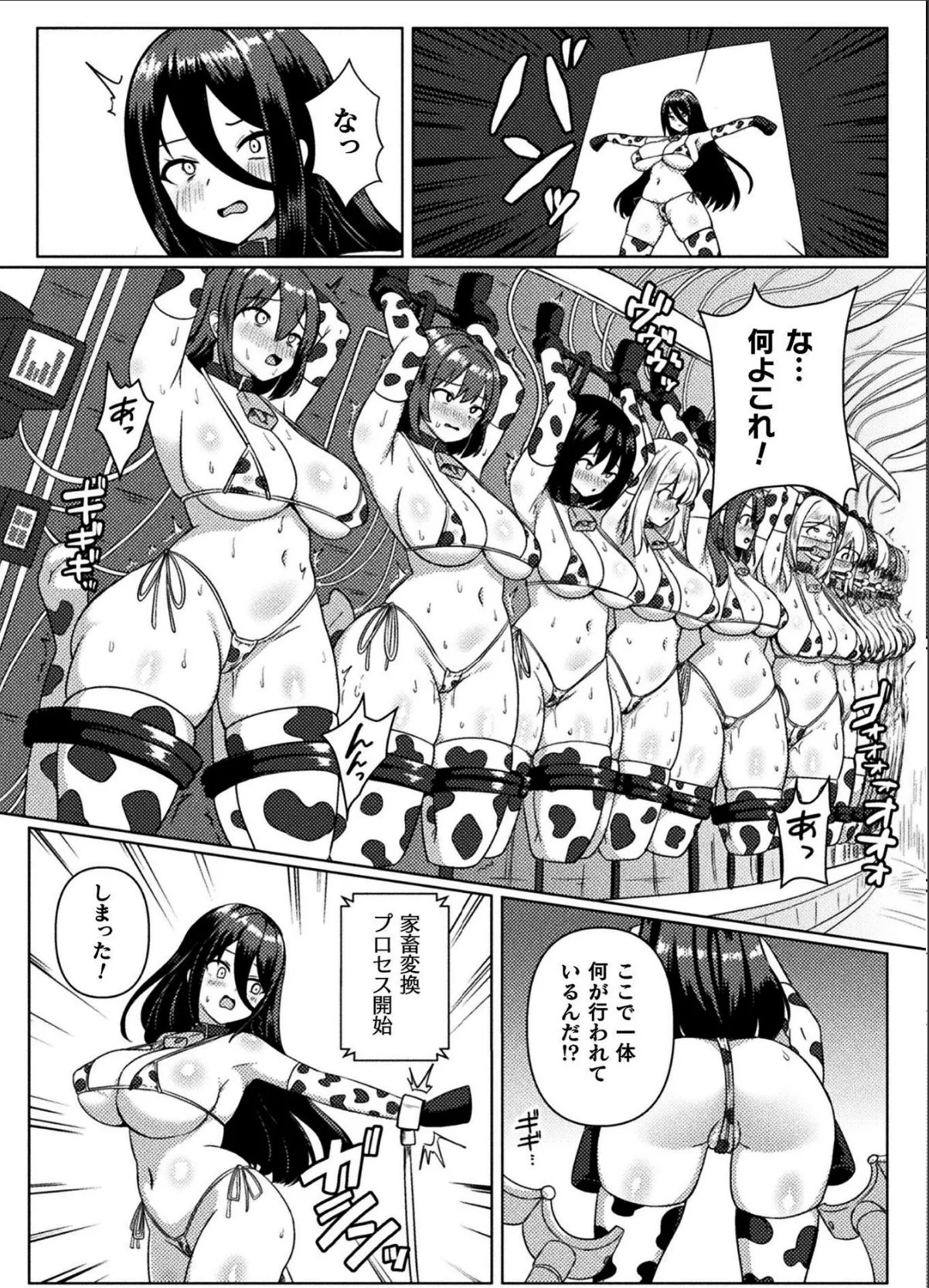 sample 4