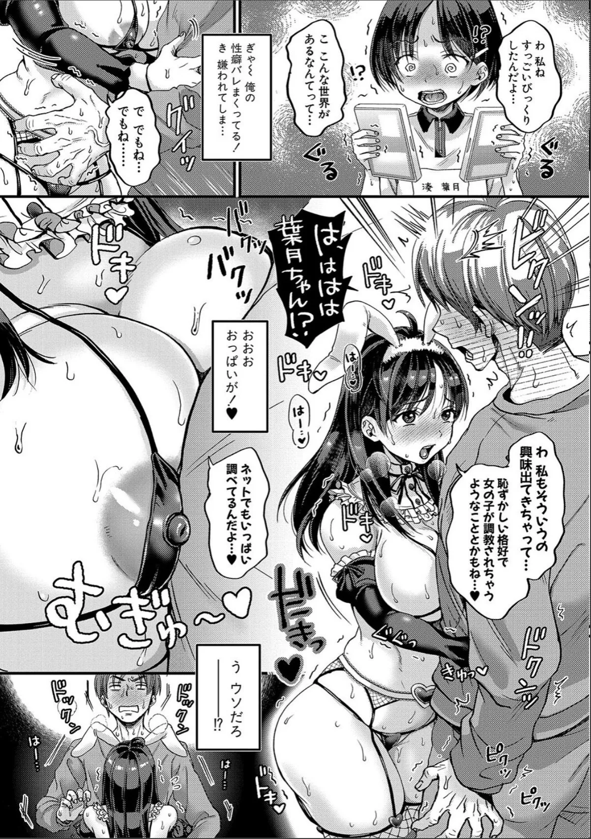 sample 12
