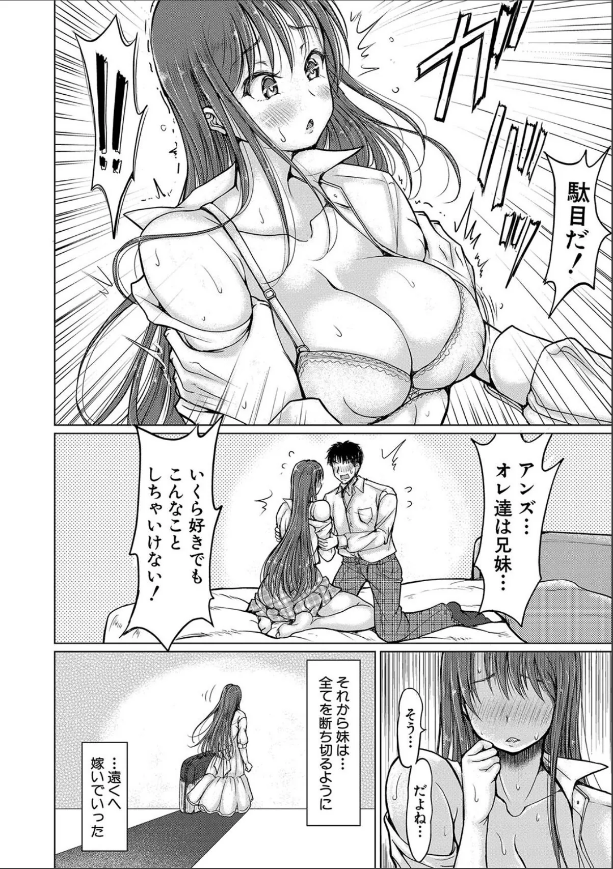 sample 4