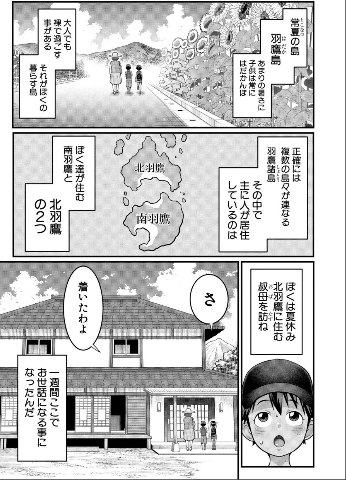 sample 11