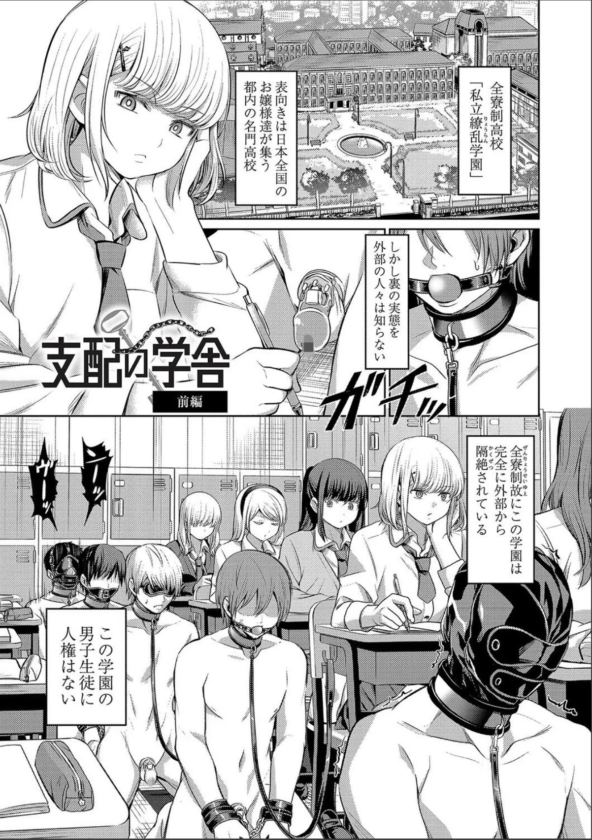 sample 5