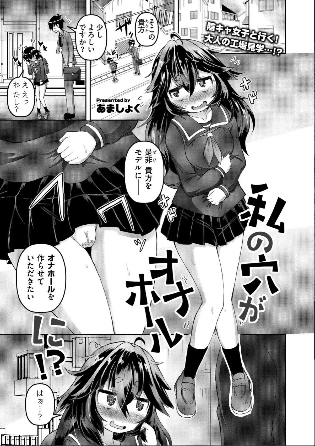 sample 12