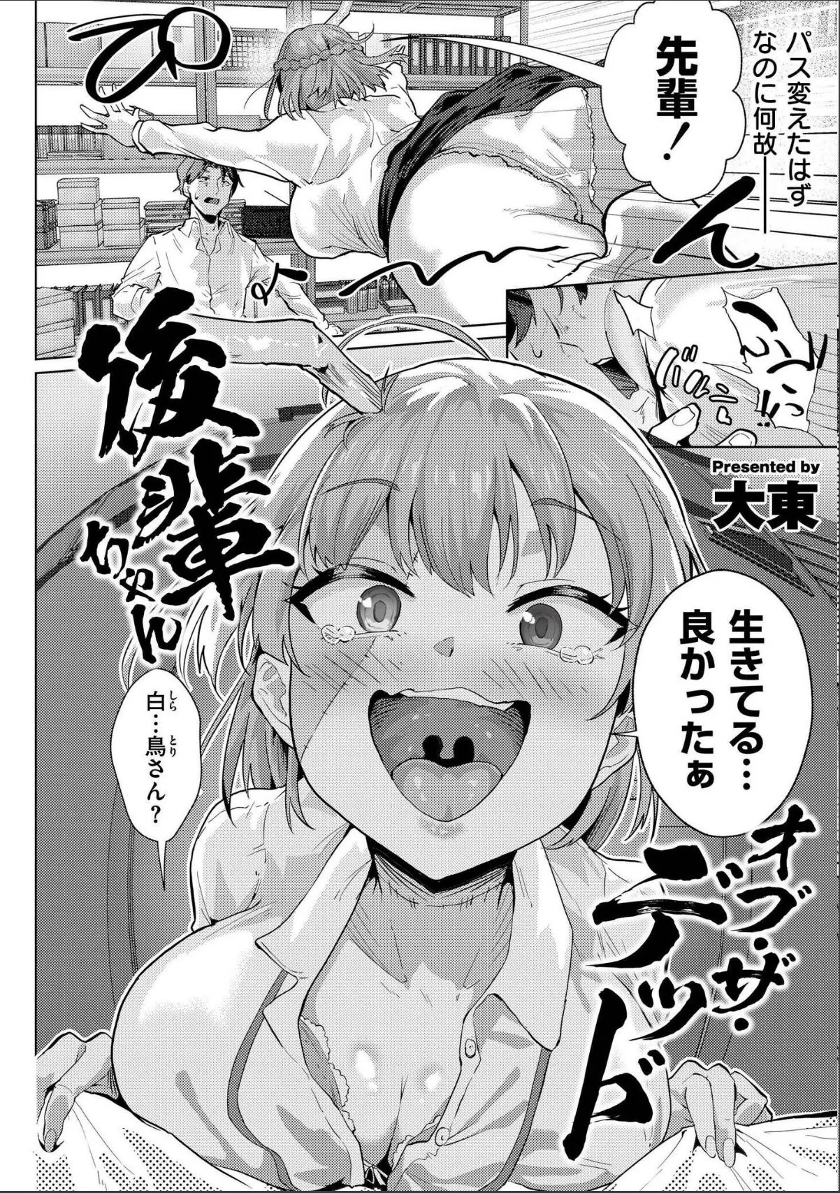 sample 12