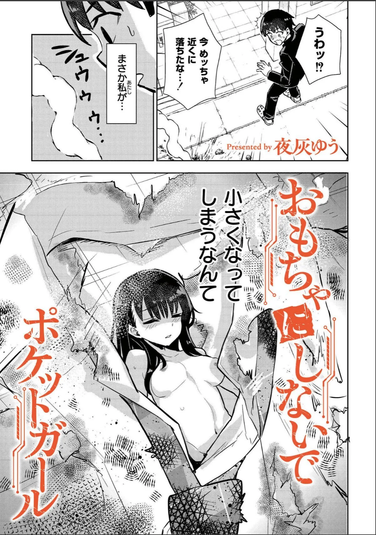 sample 5