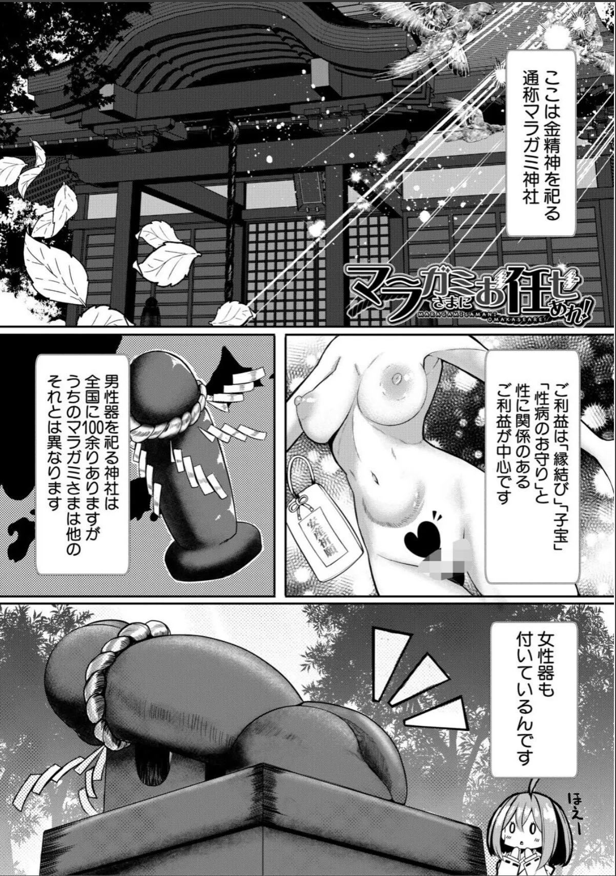 sample 4