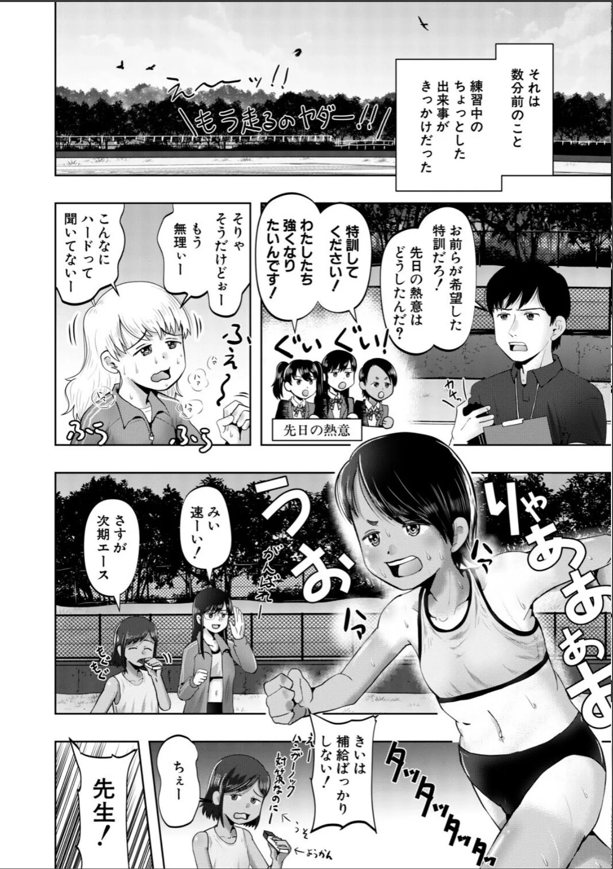 sample 4