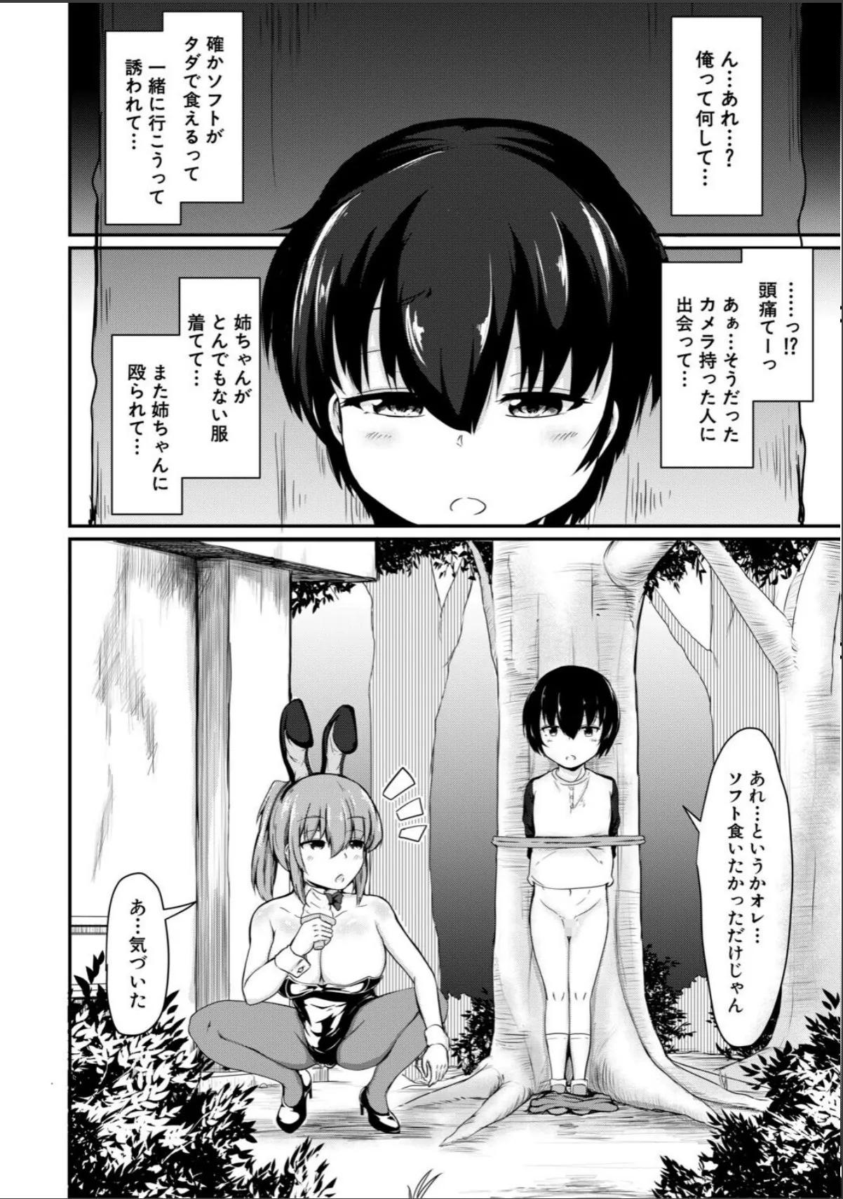 sample 12