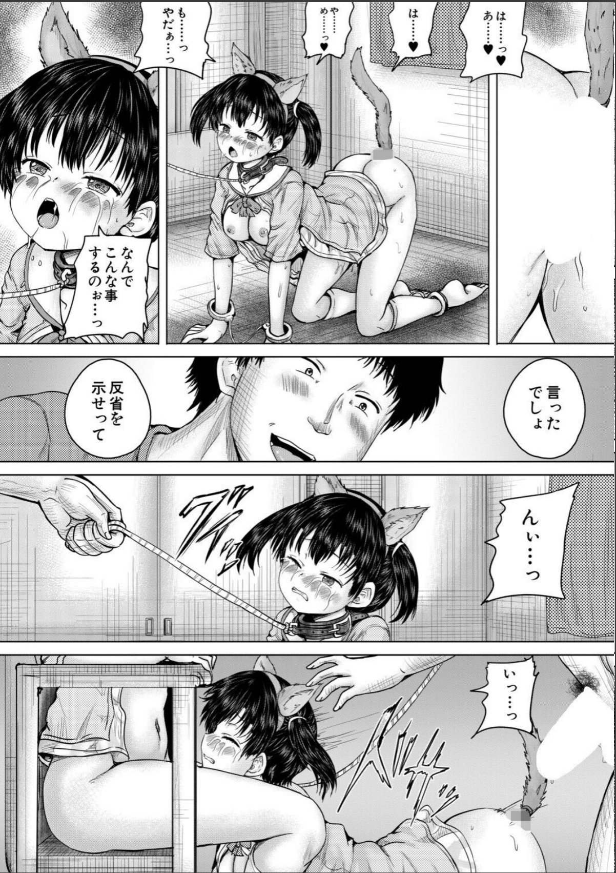 sample 6