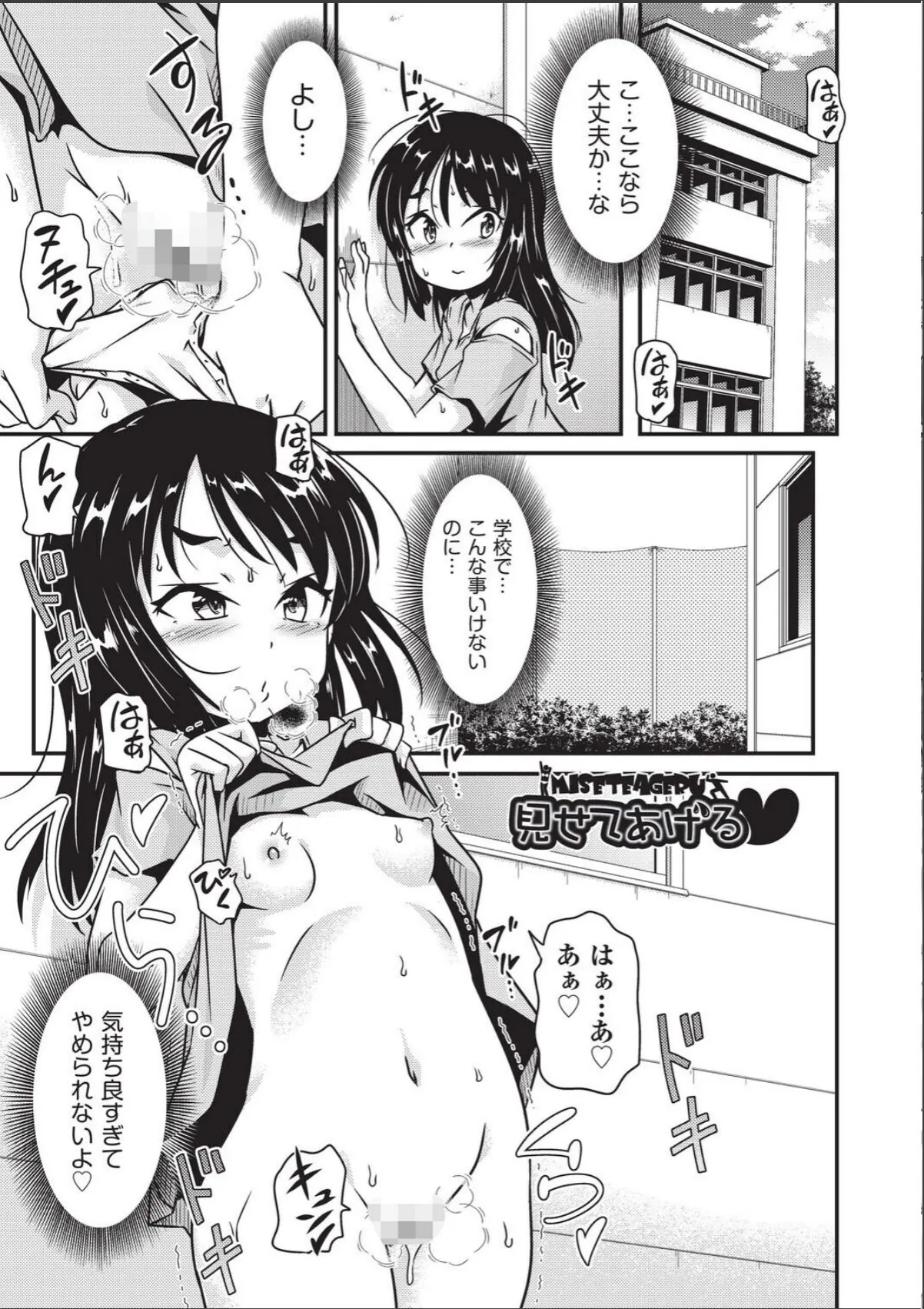 sample 5