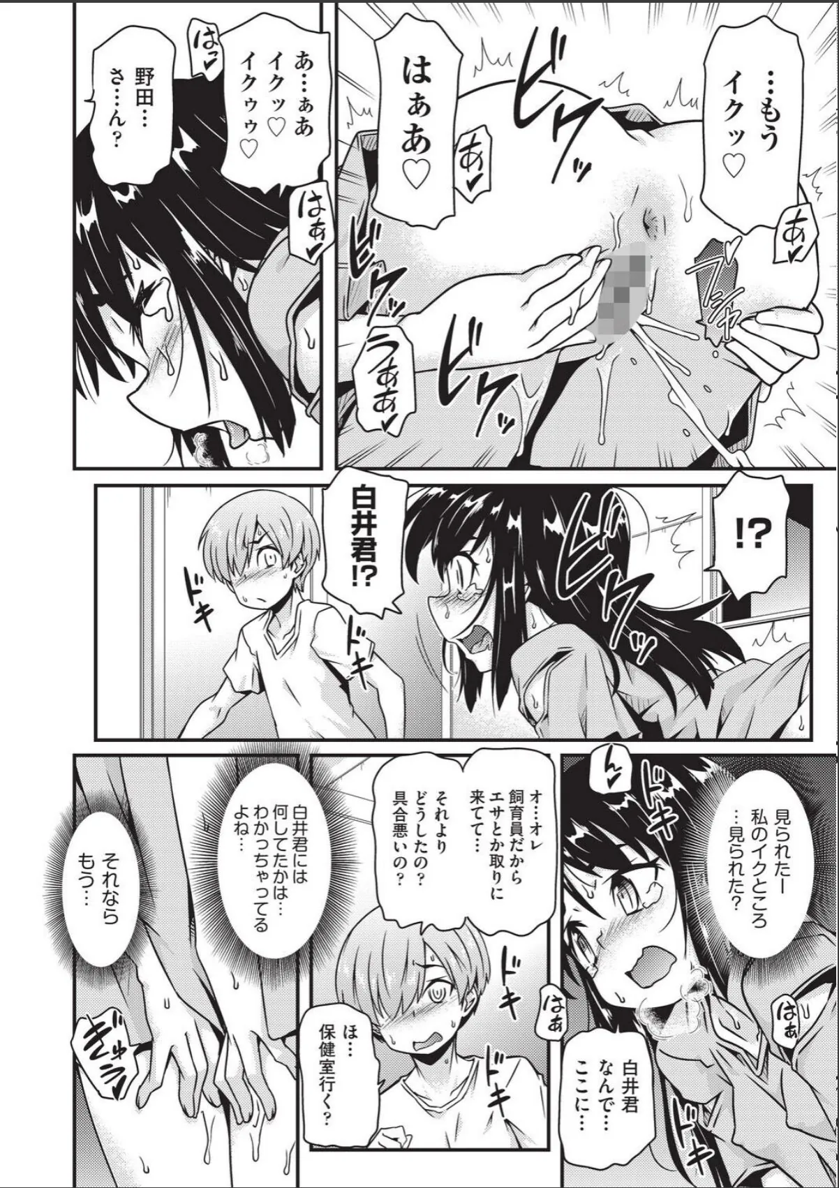 sample 8