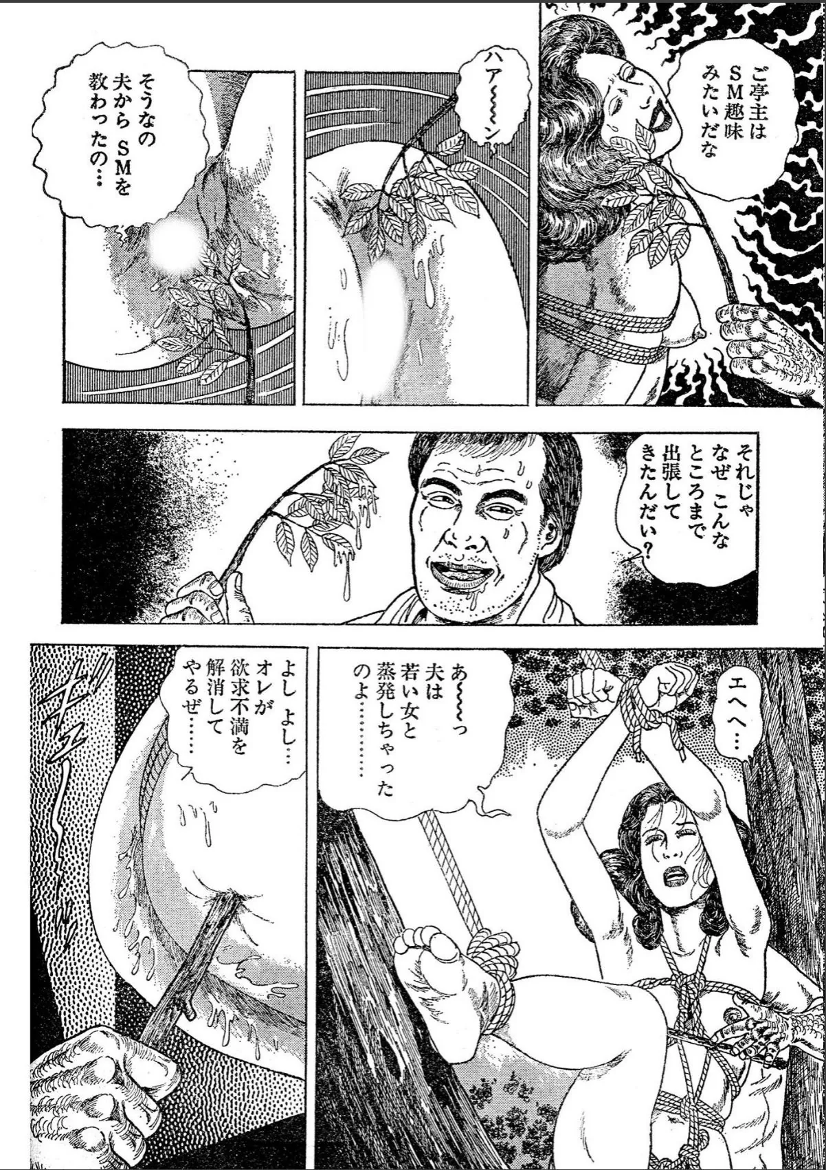 sample 6