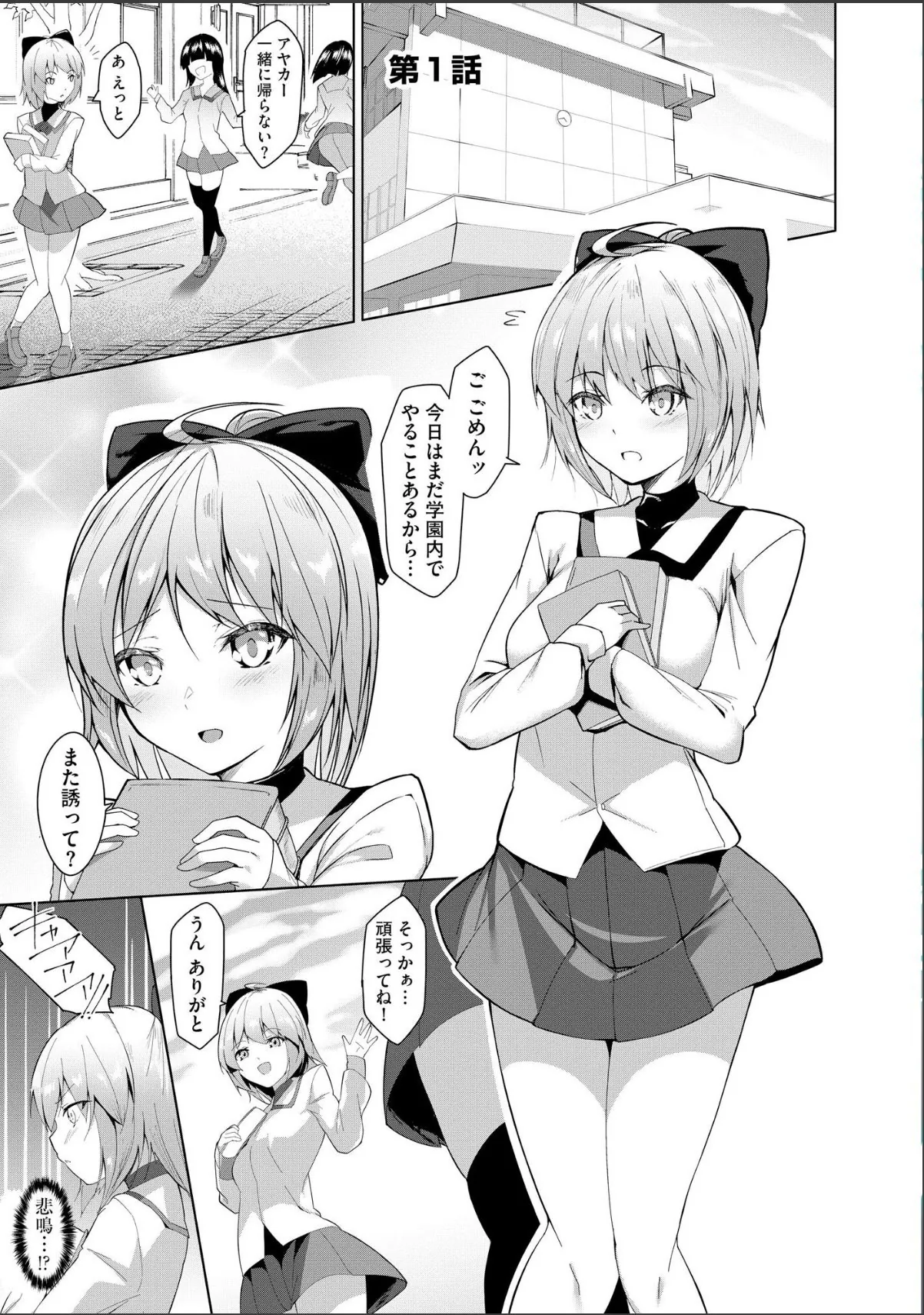 sample 5