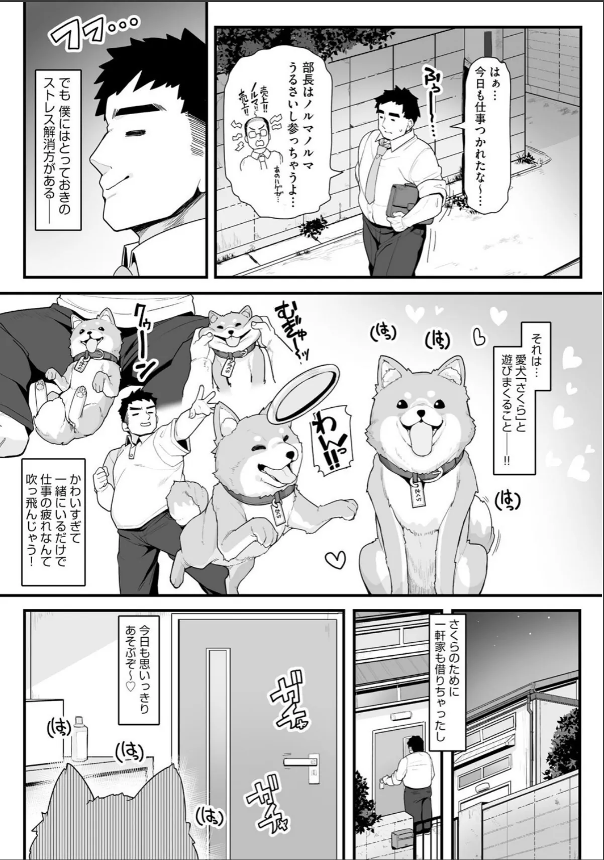 sample 3