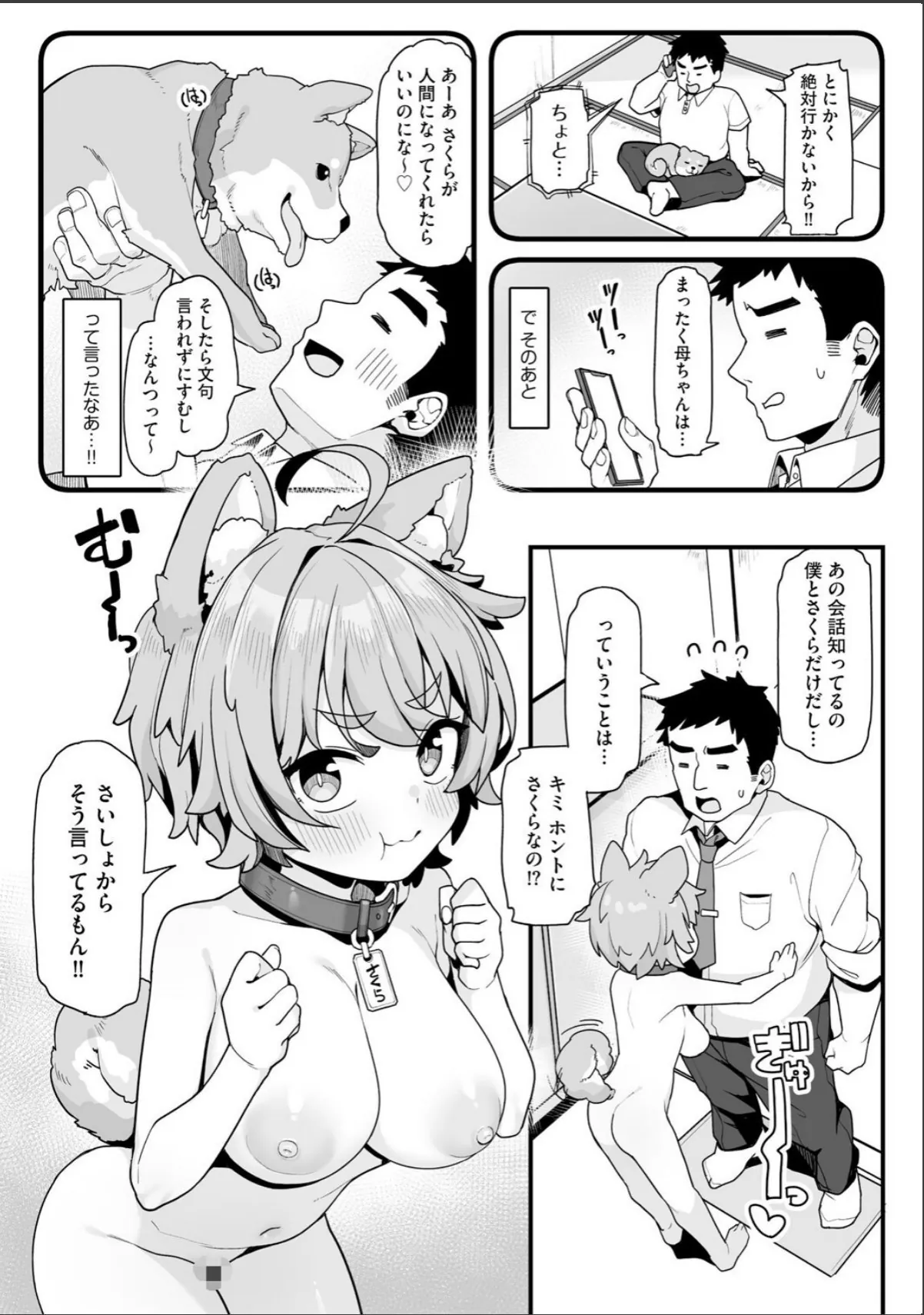 sample 6