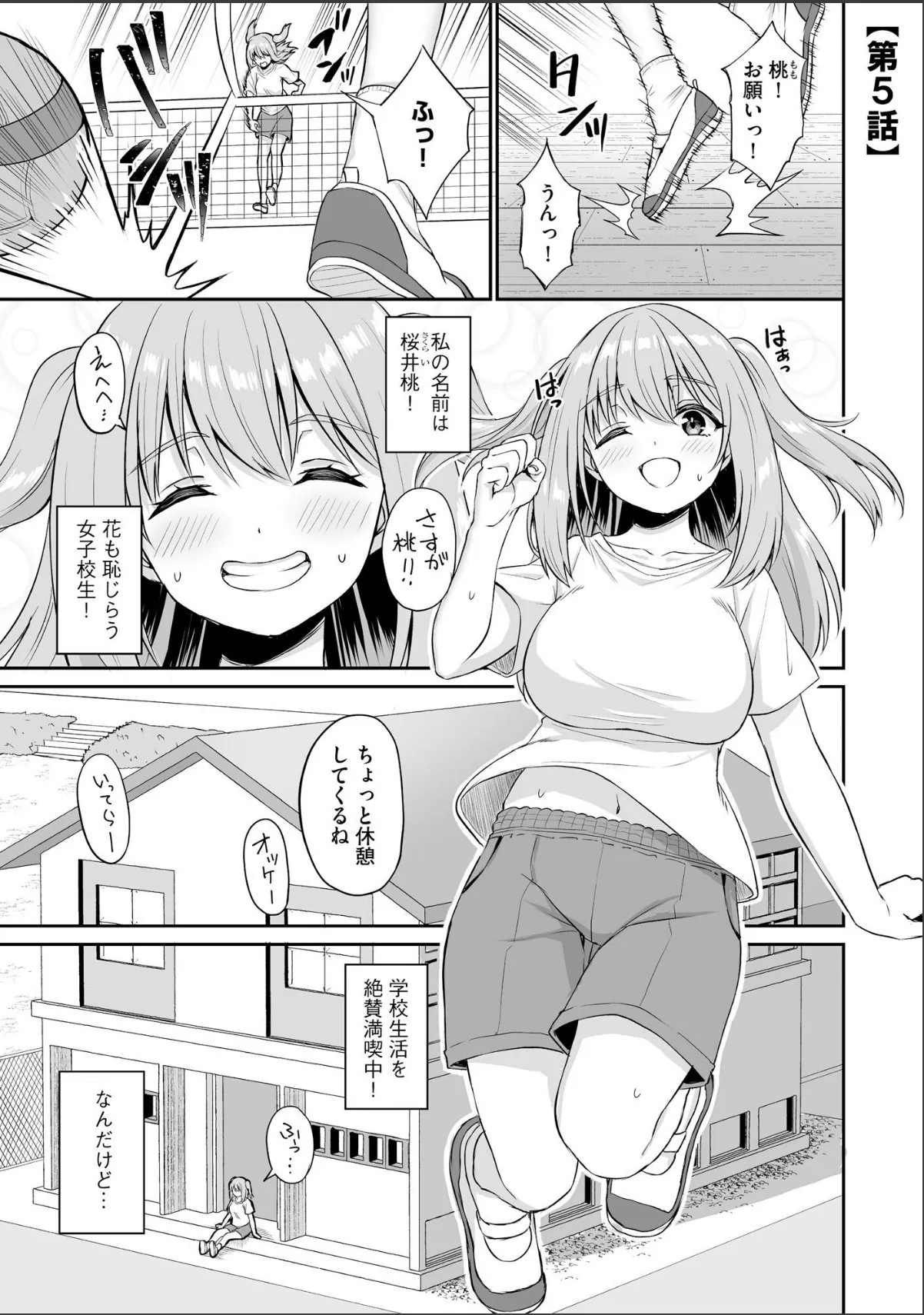 sample 5