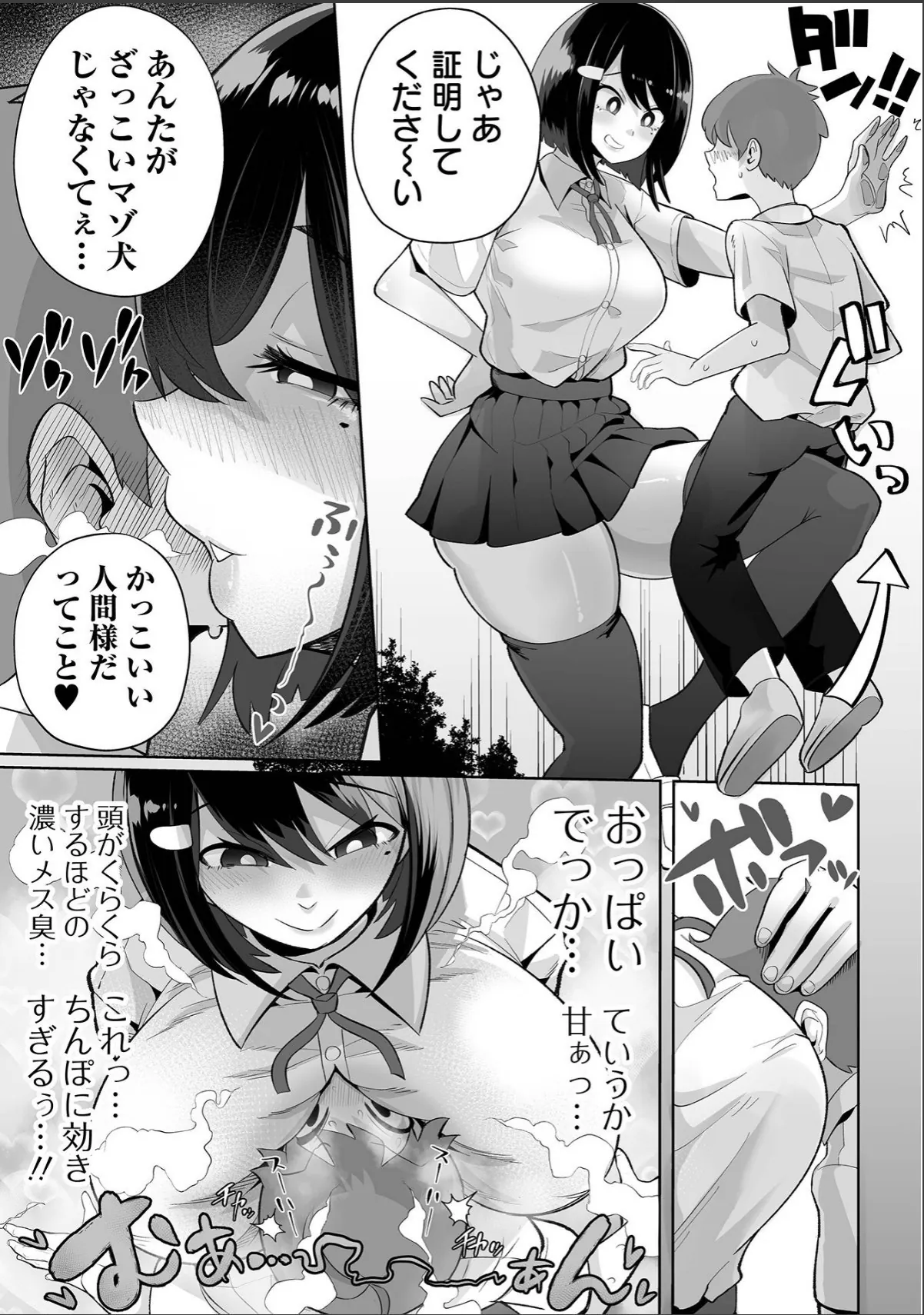 sample 6