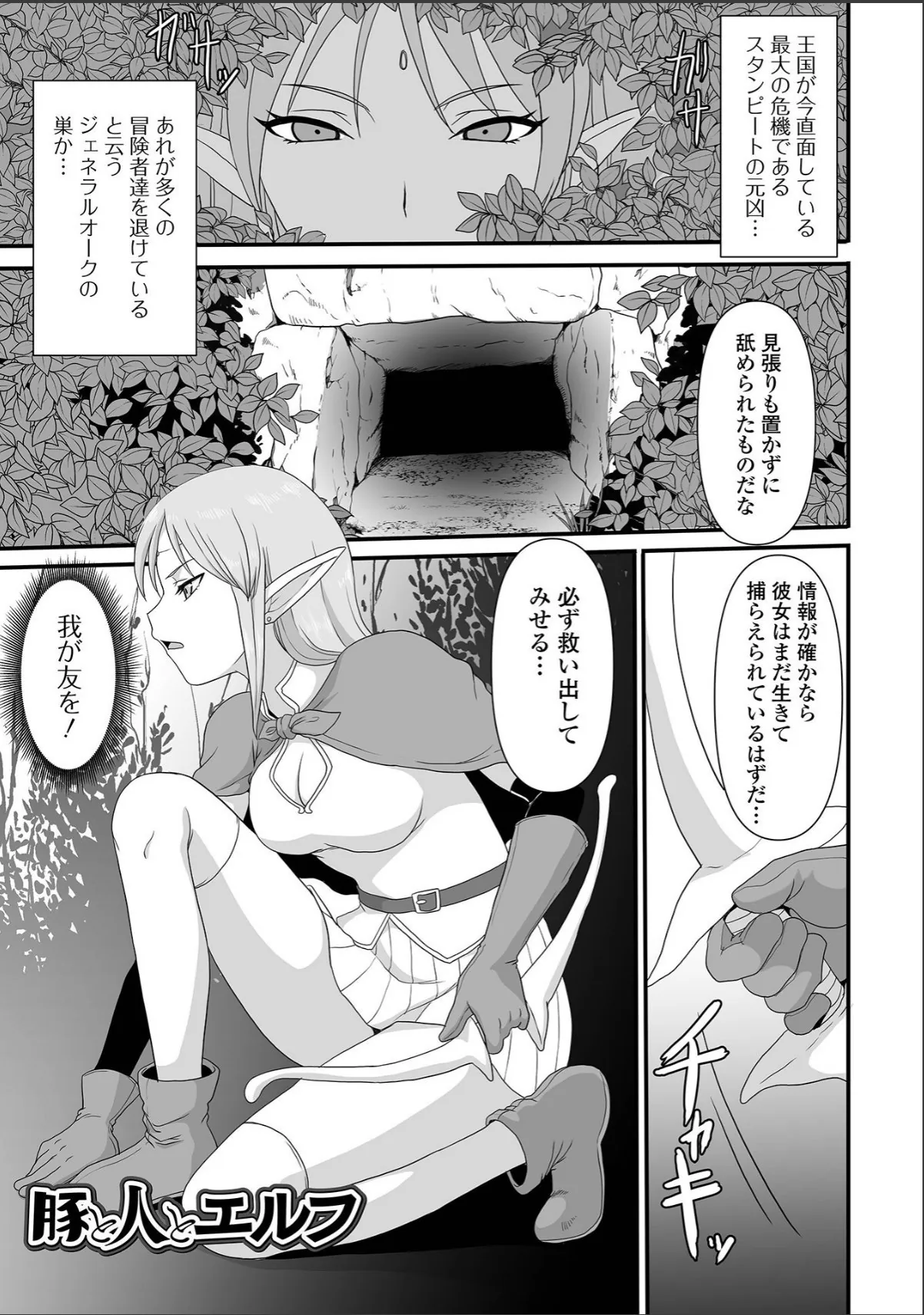 sample 11