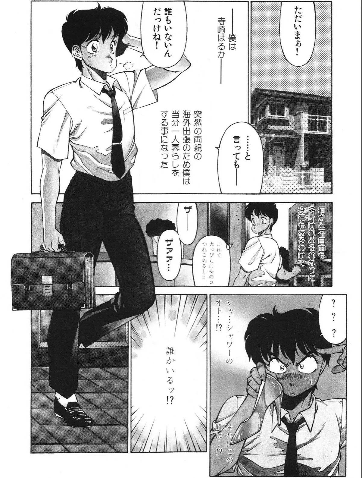 sample 5