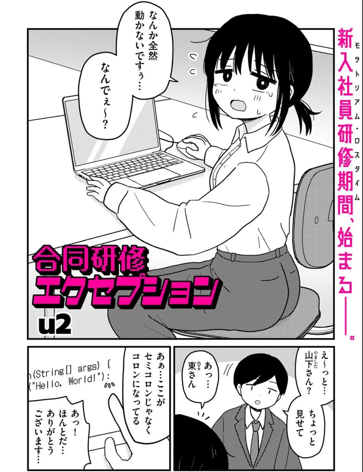 sample 2
