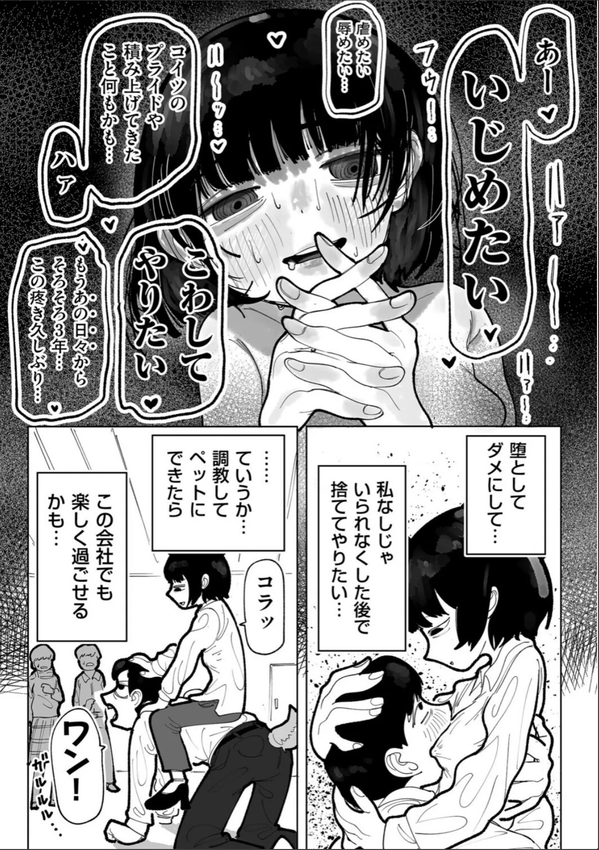 sample 5