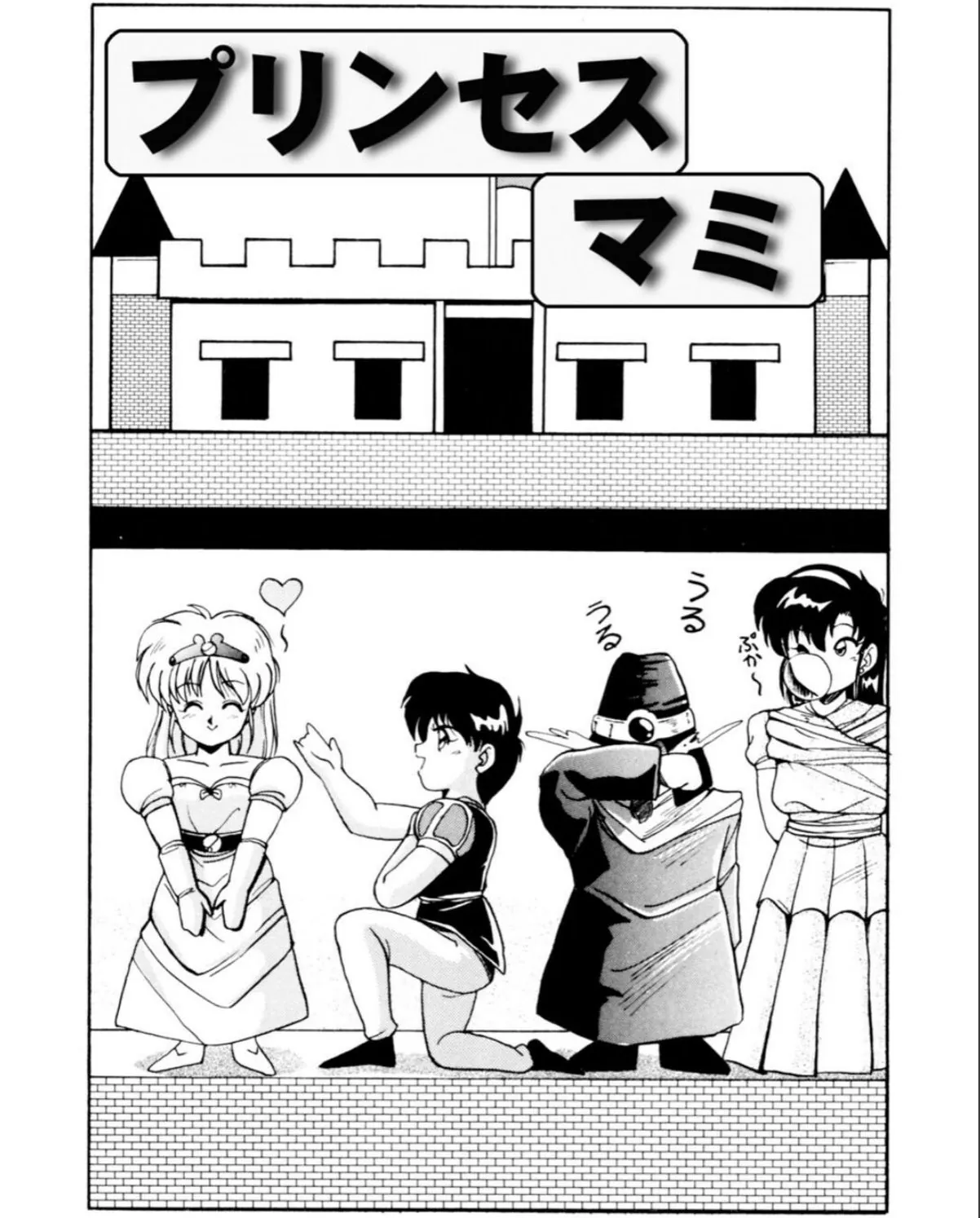sample 5
