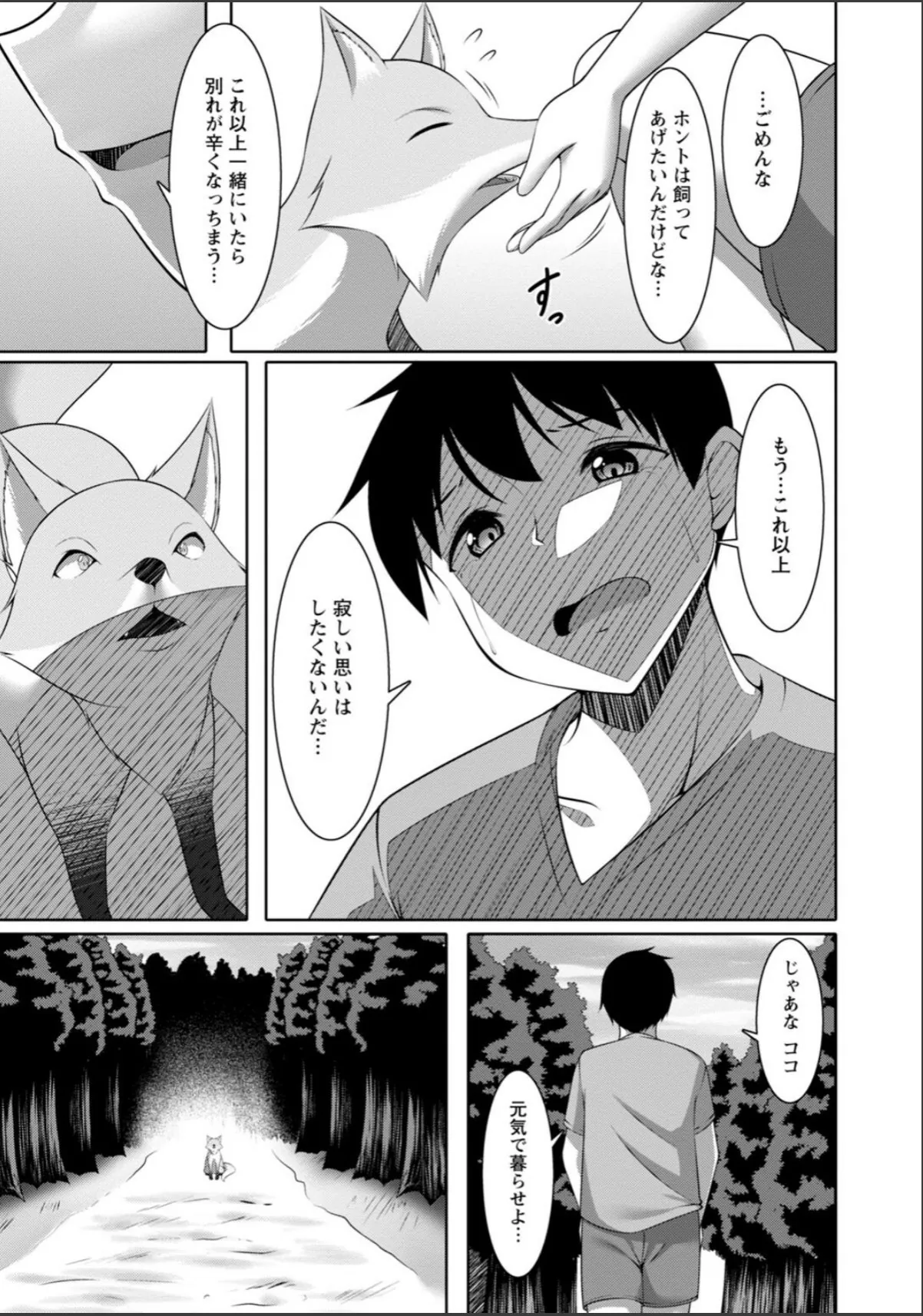 sample 11