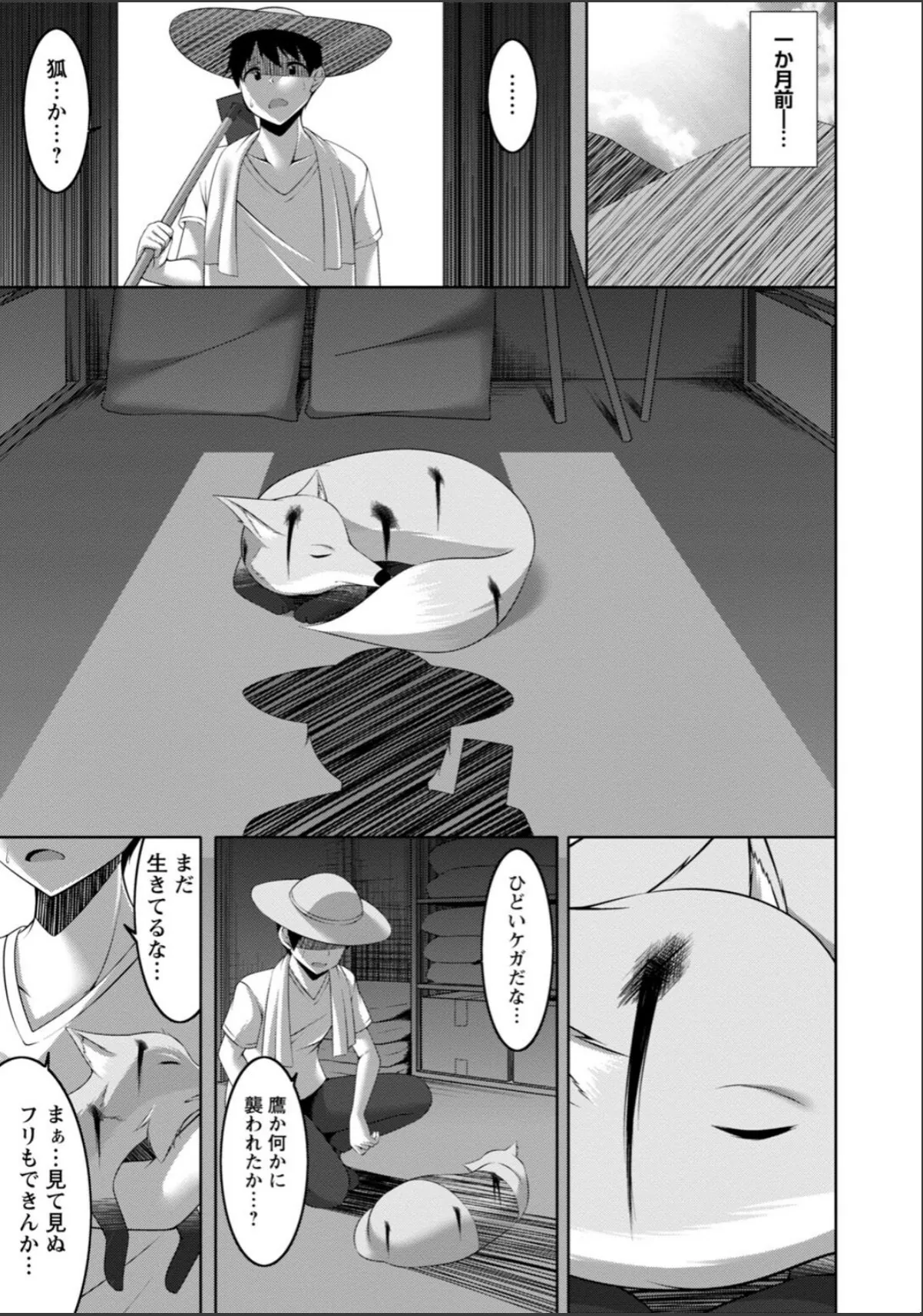 sample 5