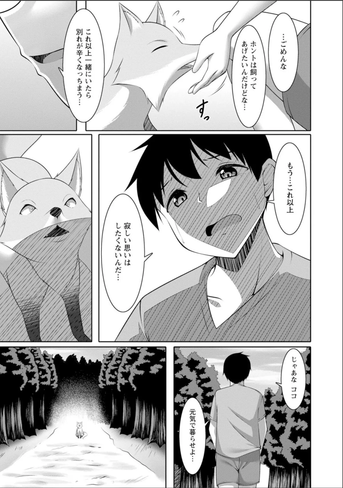 sample 11