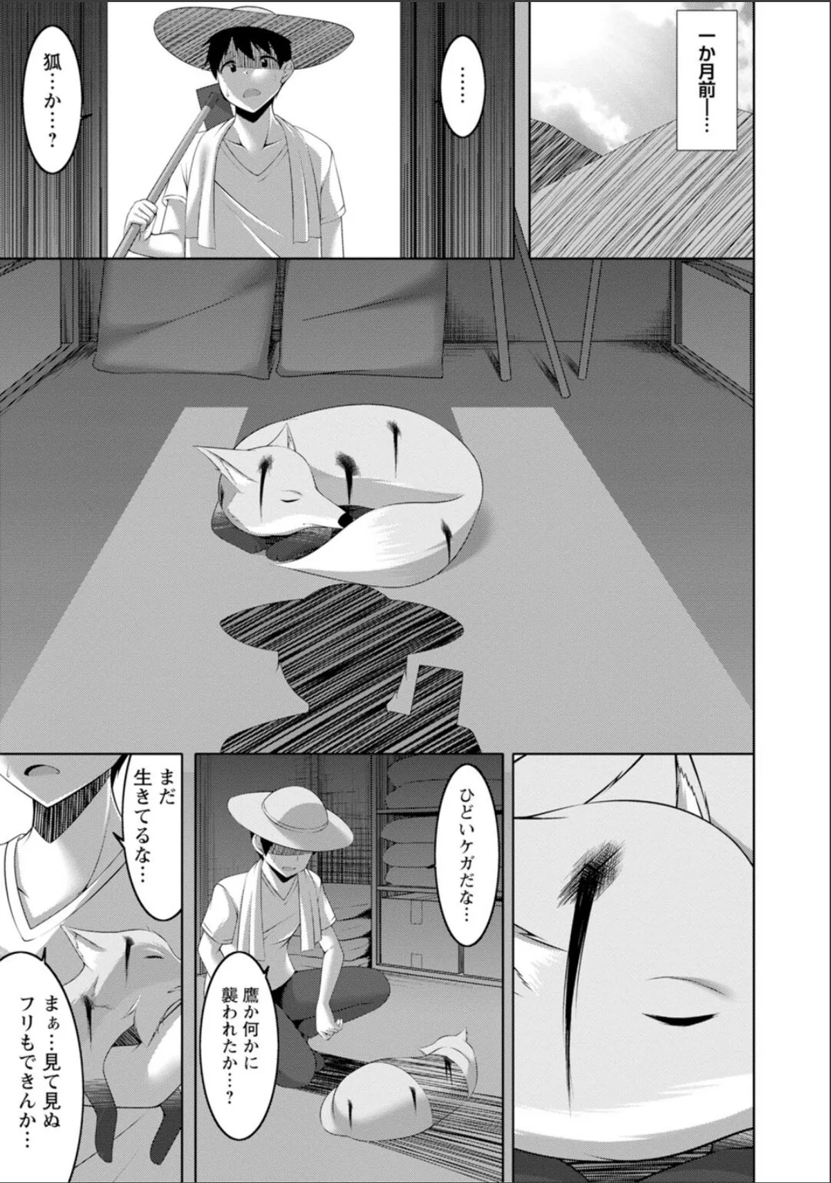 sample 5