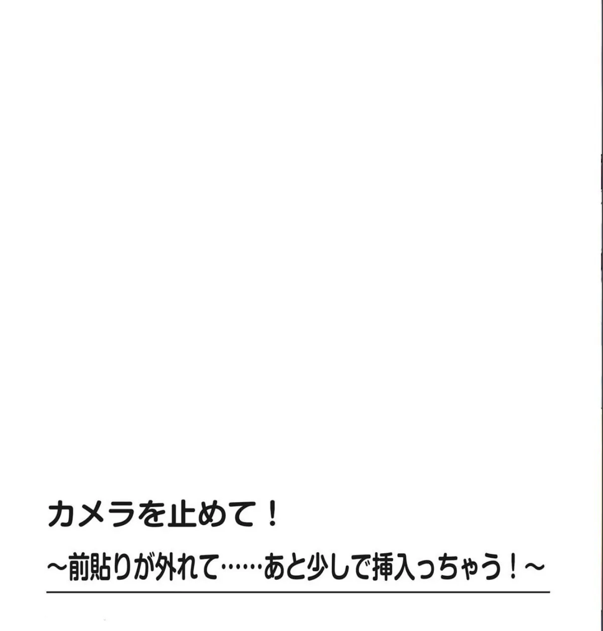 sample 4