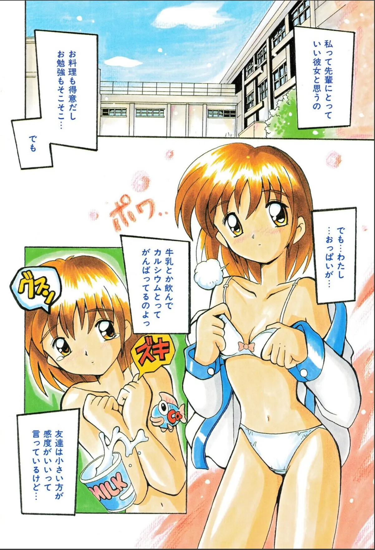 sample 4