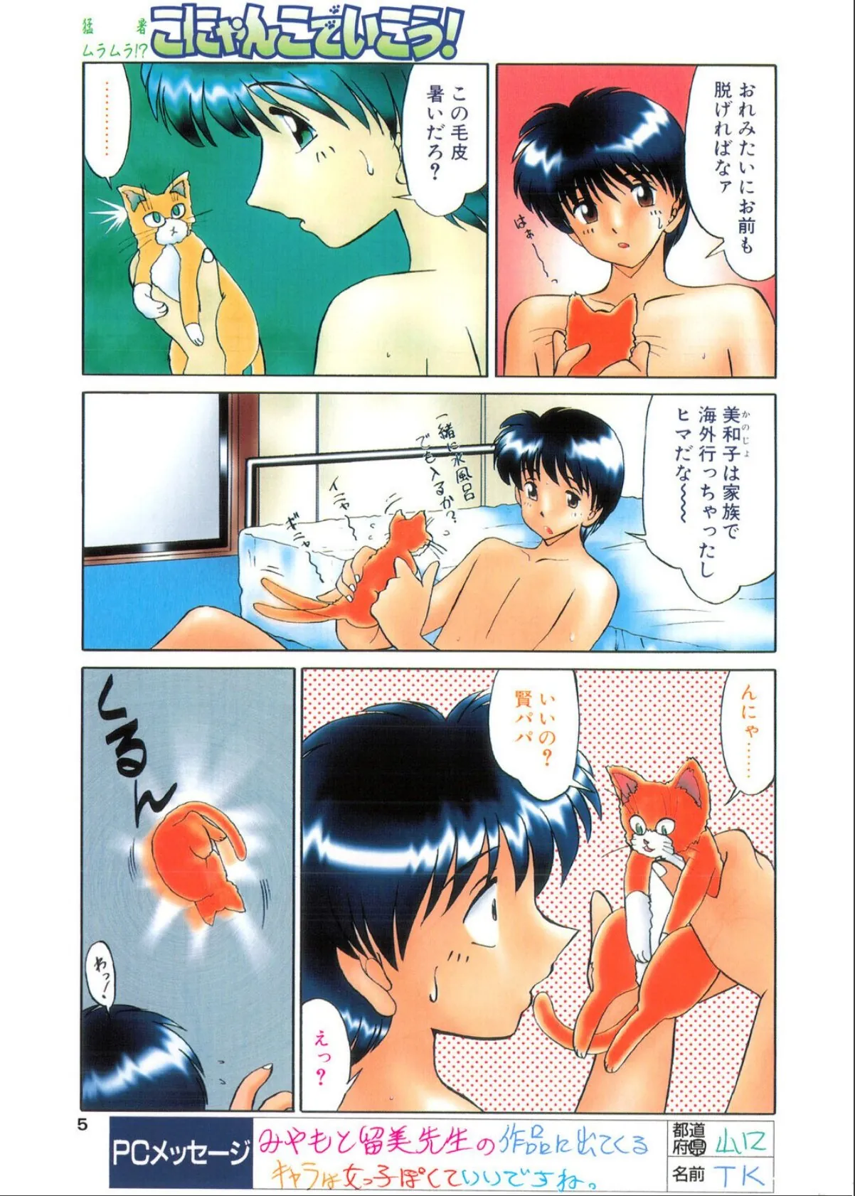 sample 5