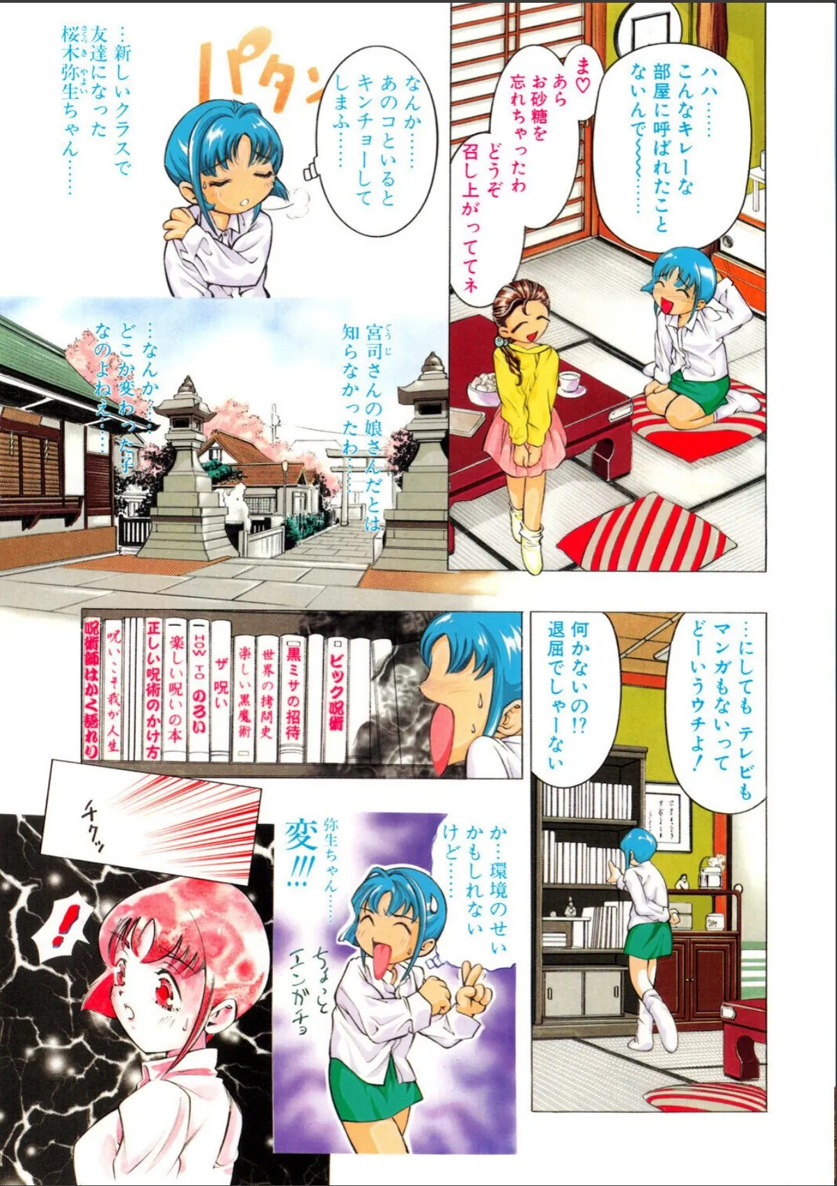 sample 5