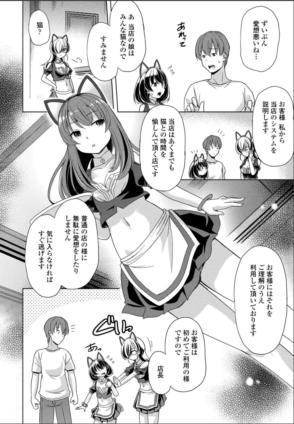 sample 4