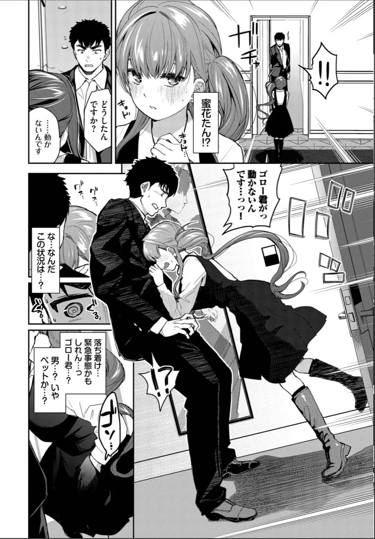 sample 4