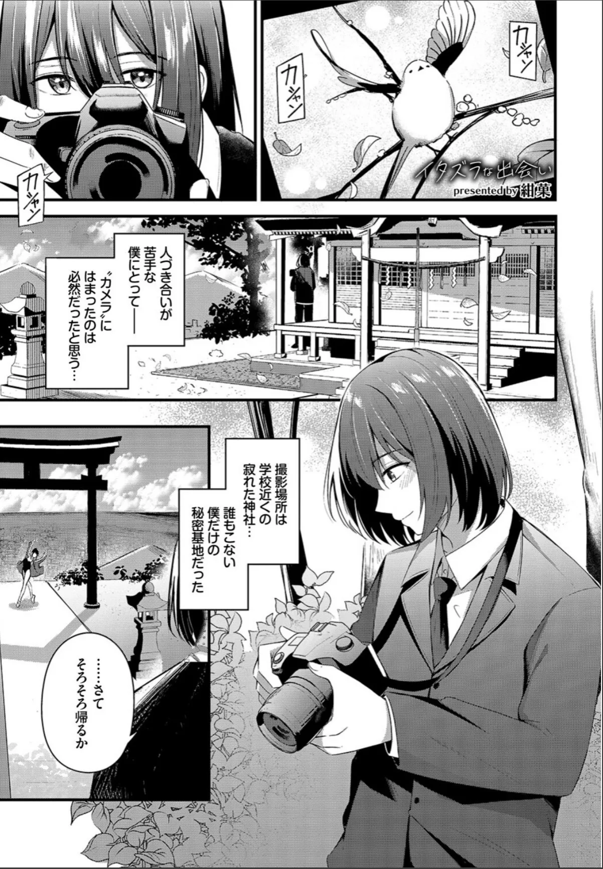 sample 7