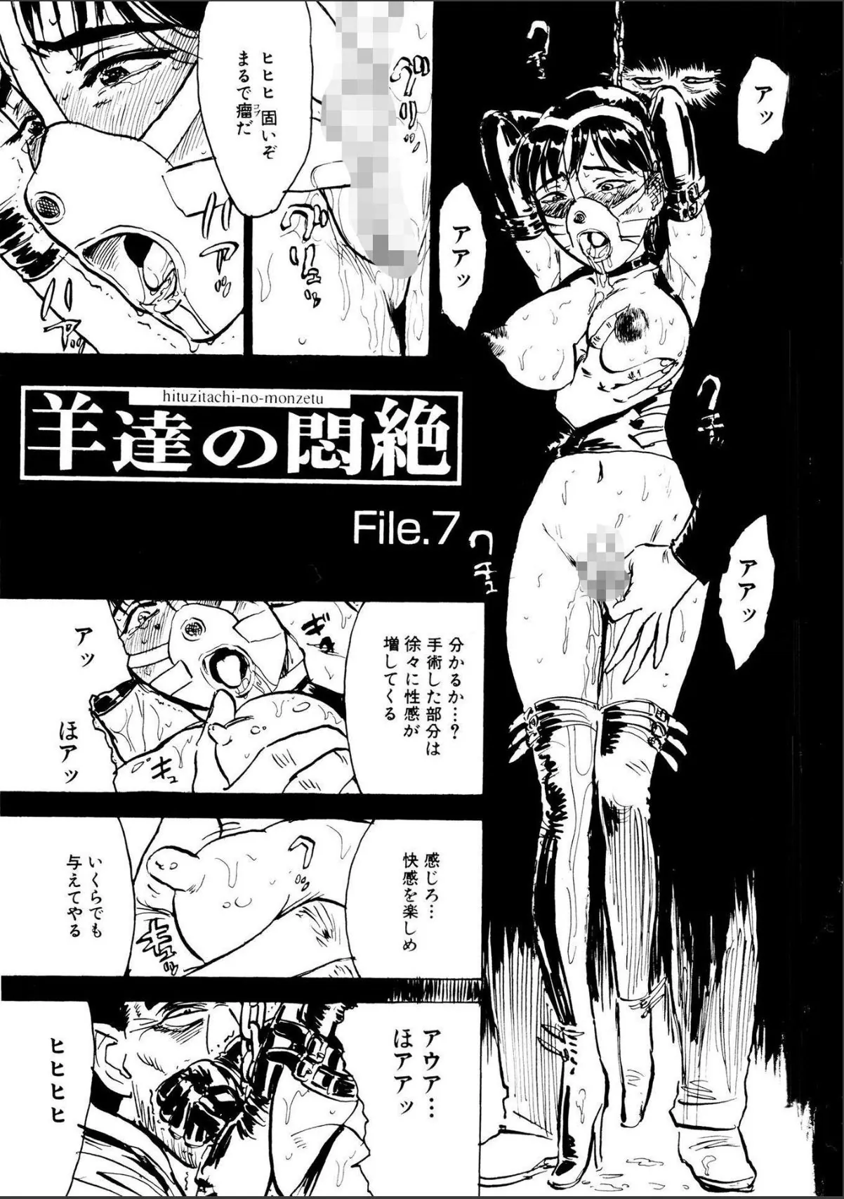 sample 5