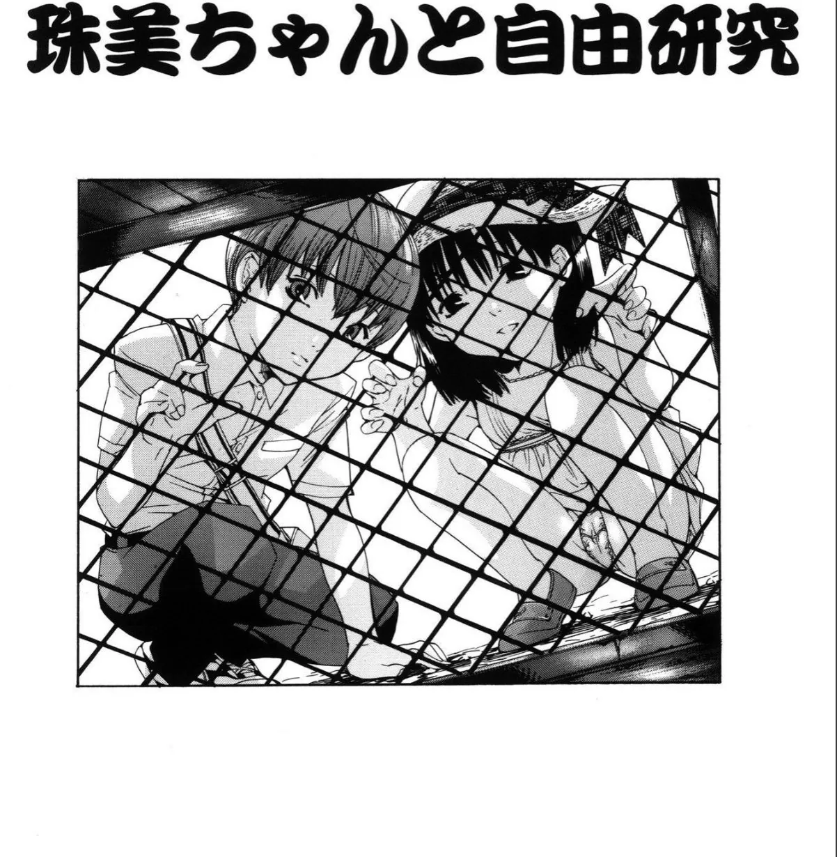 sample 11