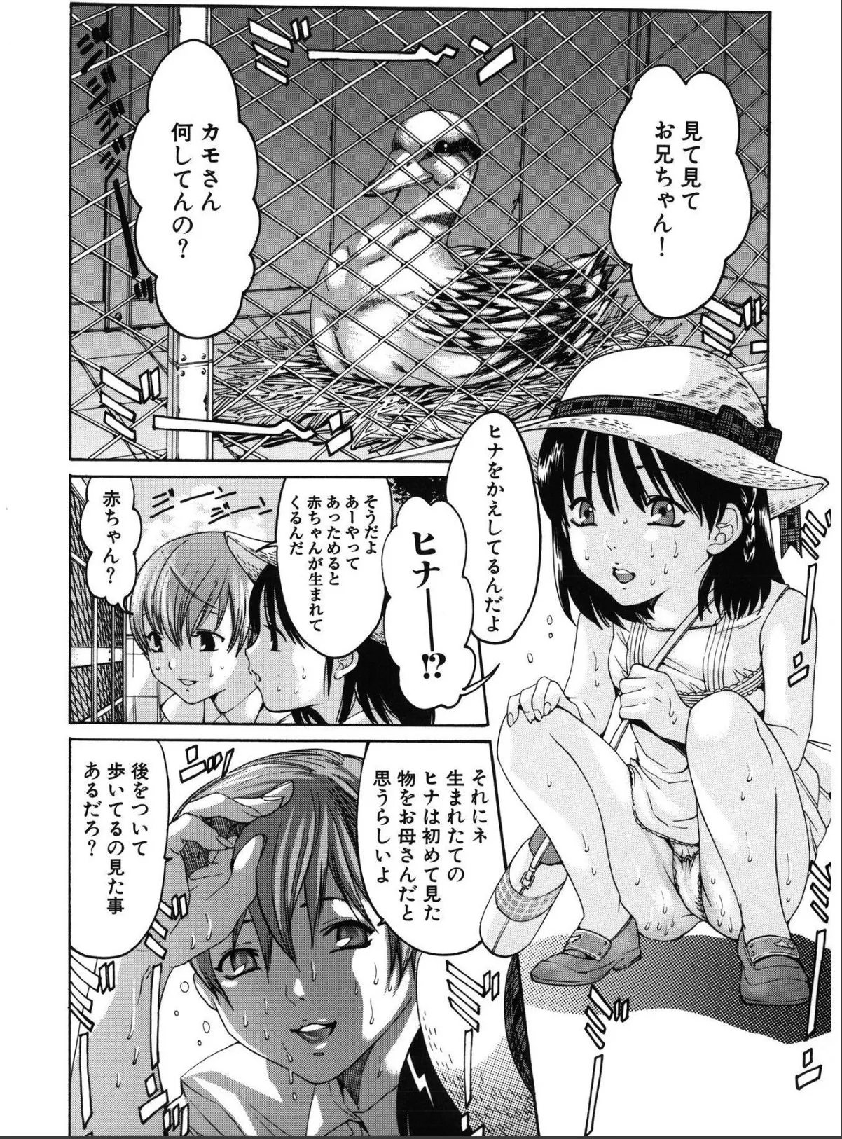 sample 12