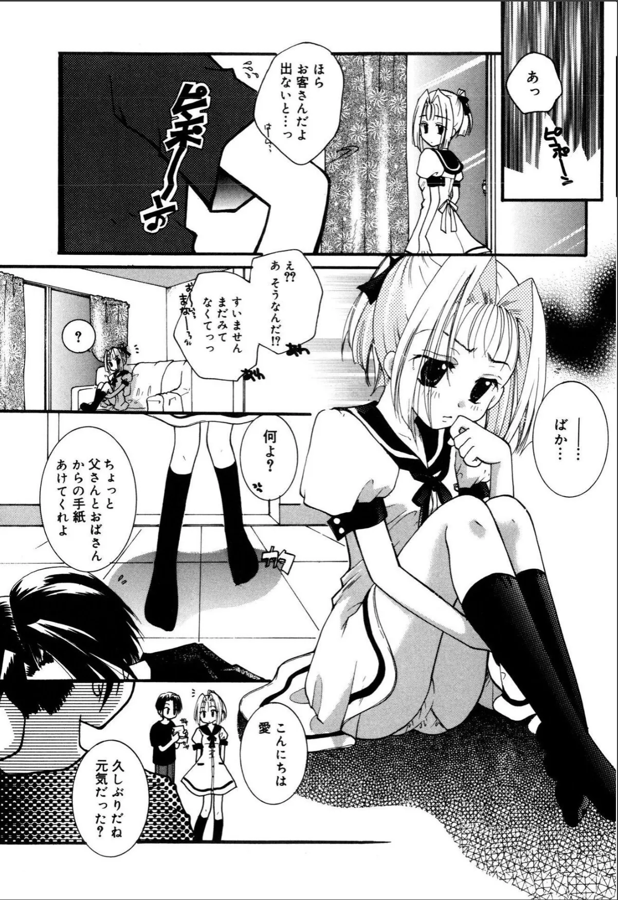 sample 8
