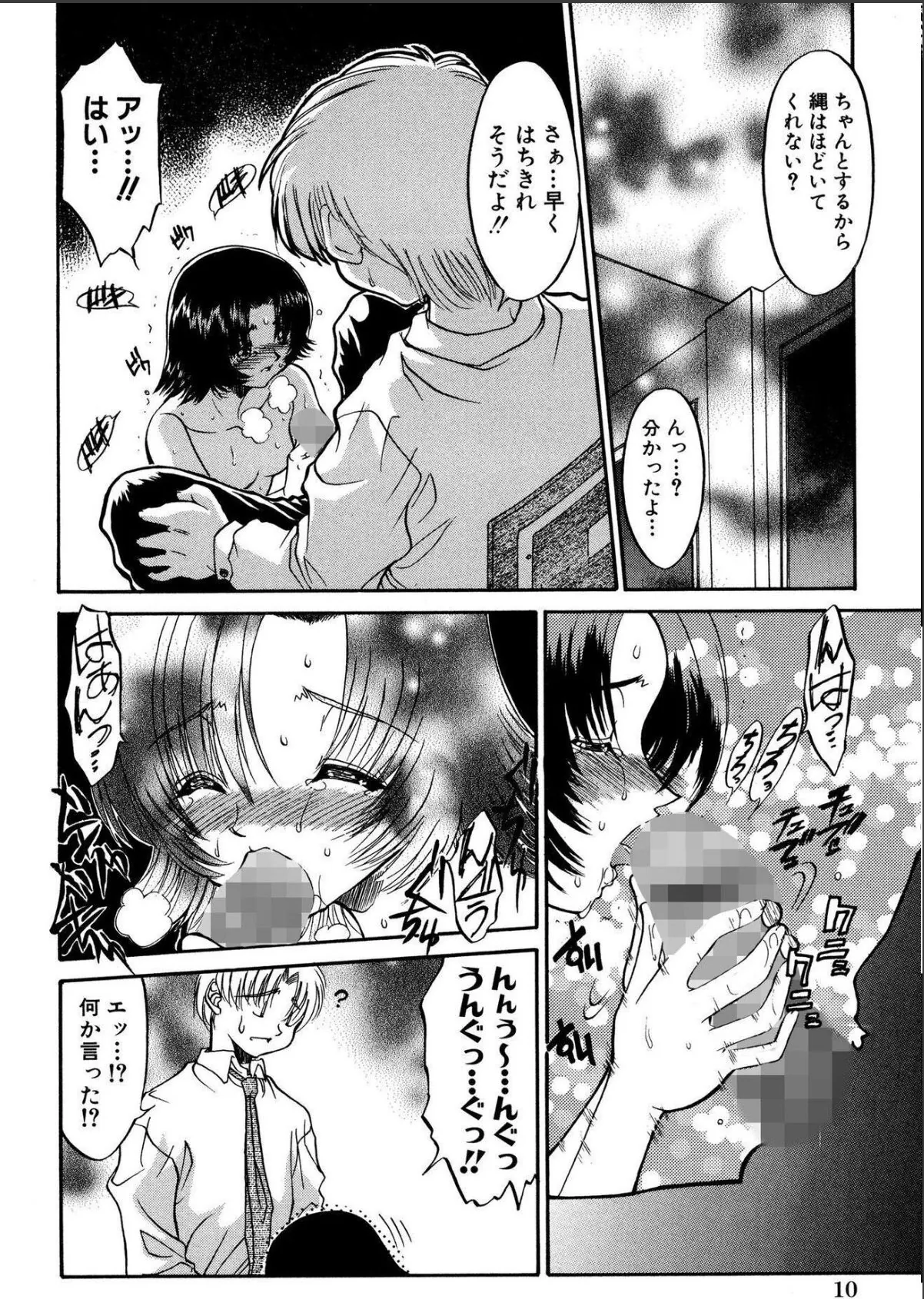 sample 12