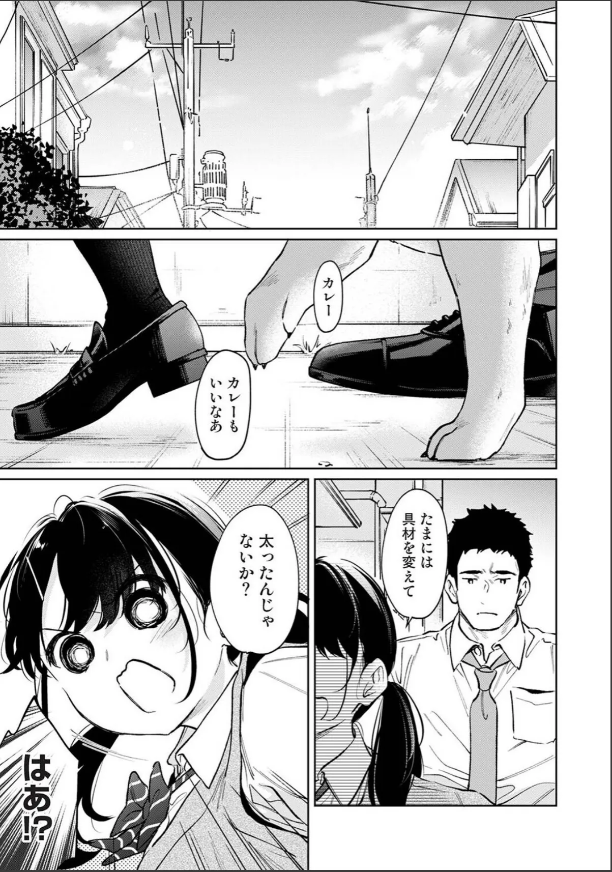 sample 3