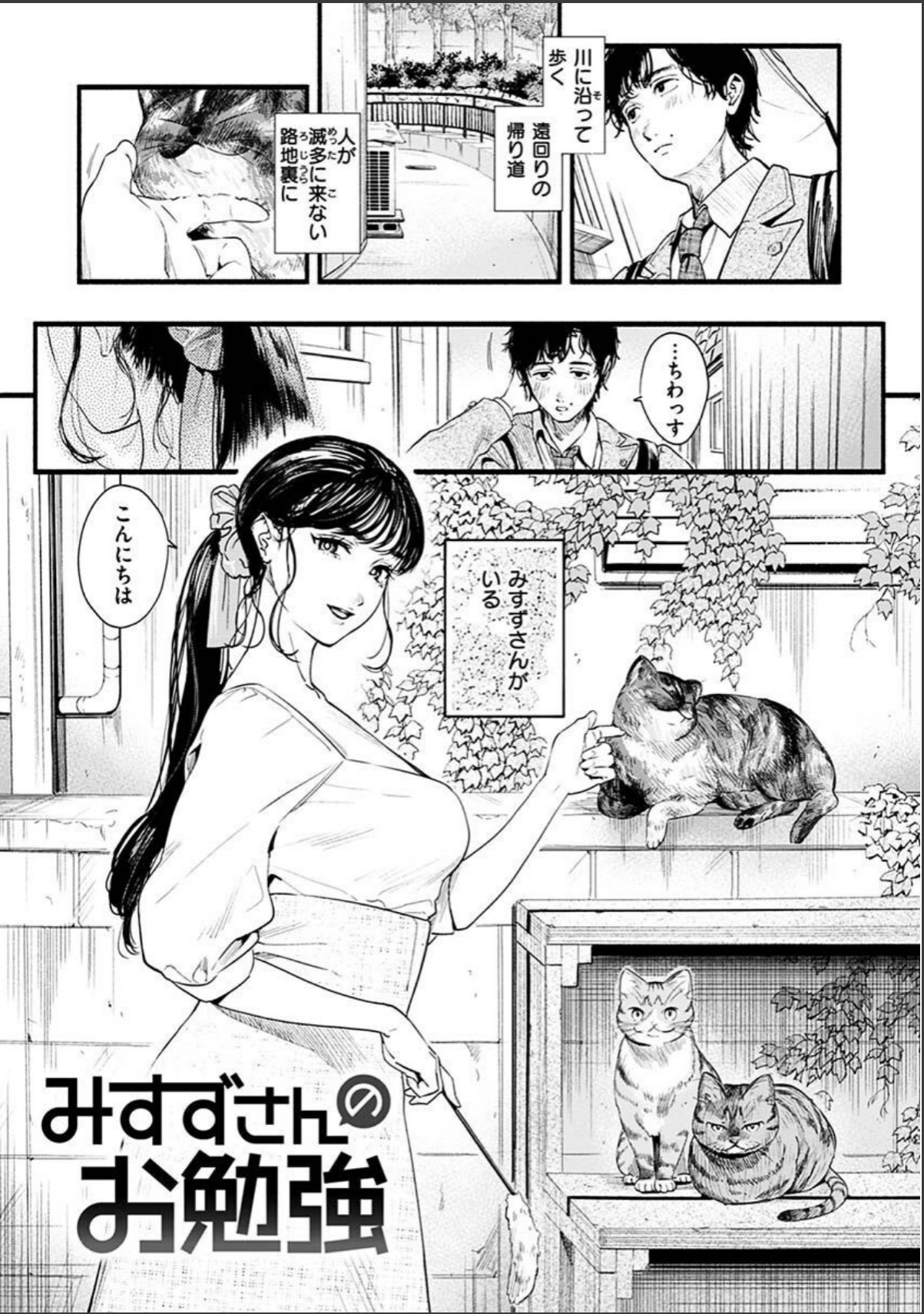 sample 3